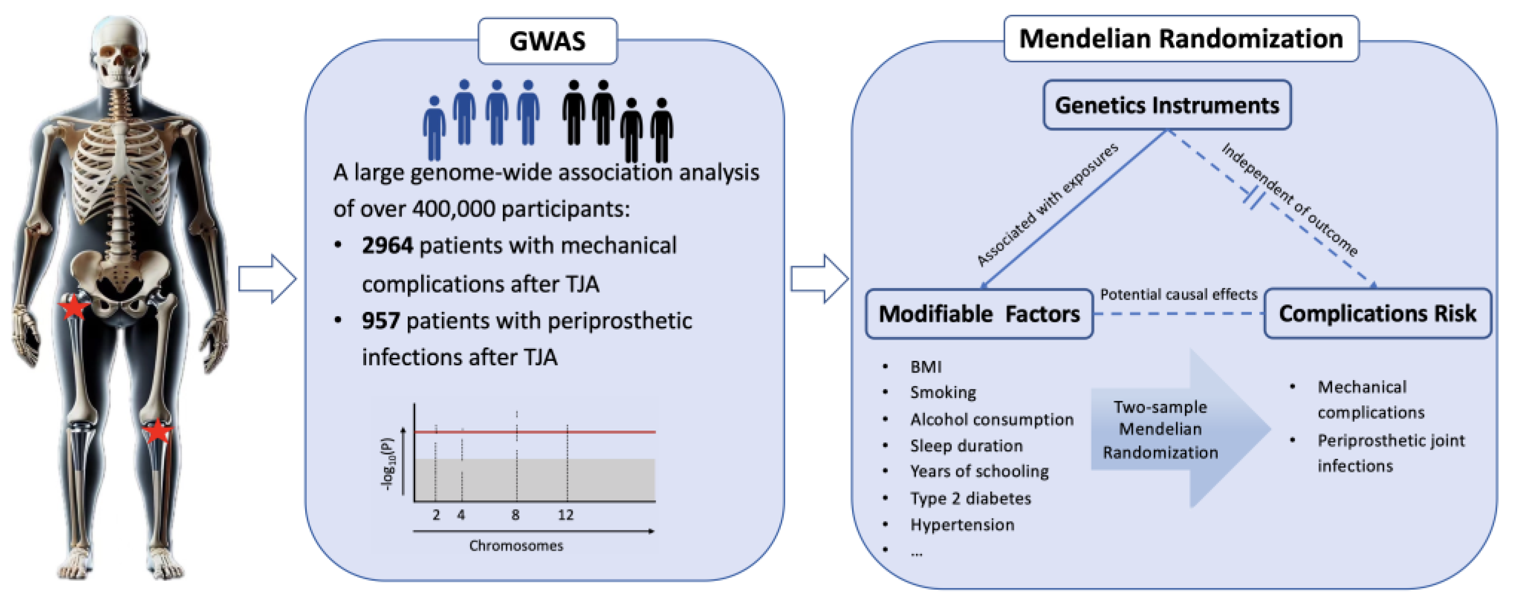 Bioengineering 11 00797 g001