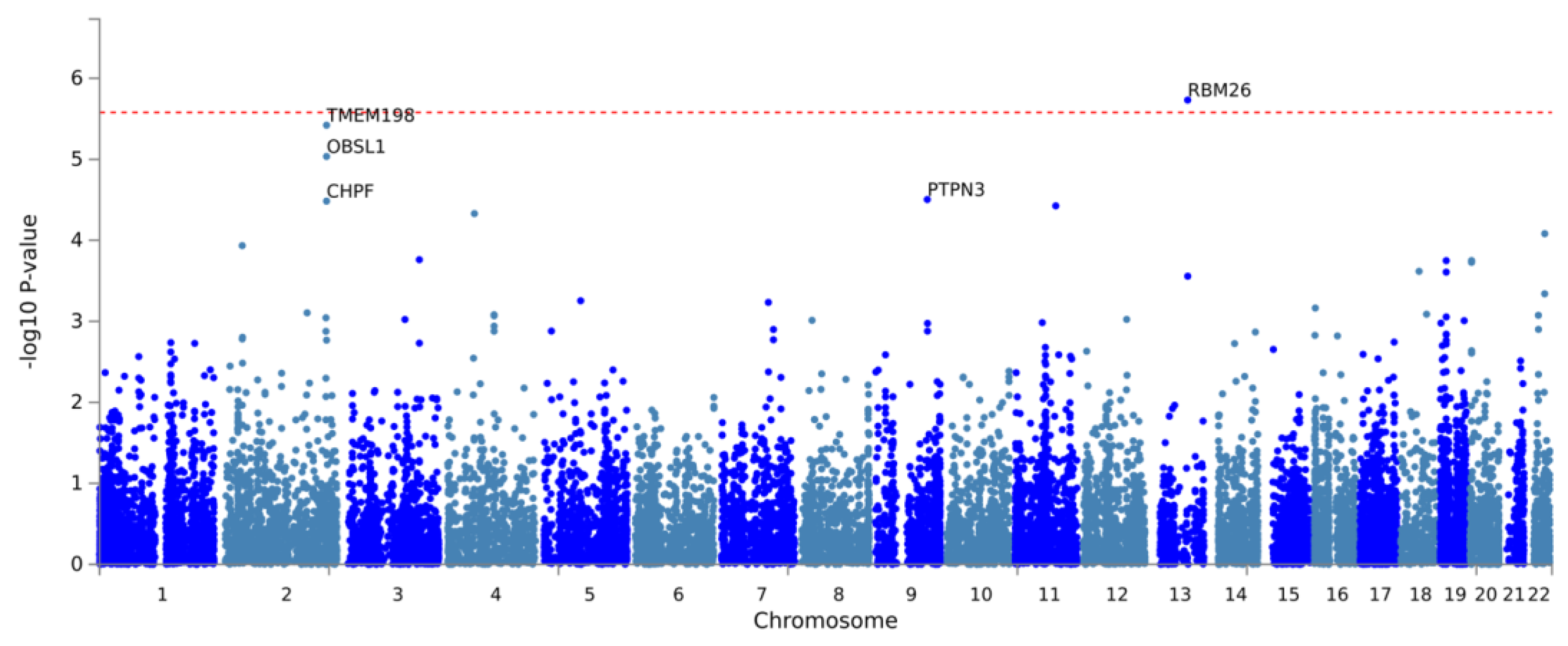 Bioengineering 11 00797 g0a2