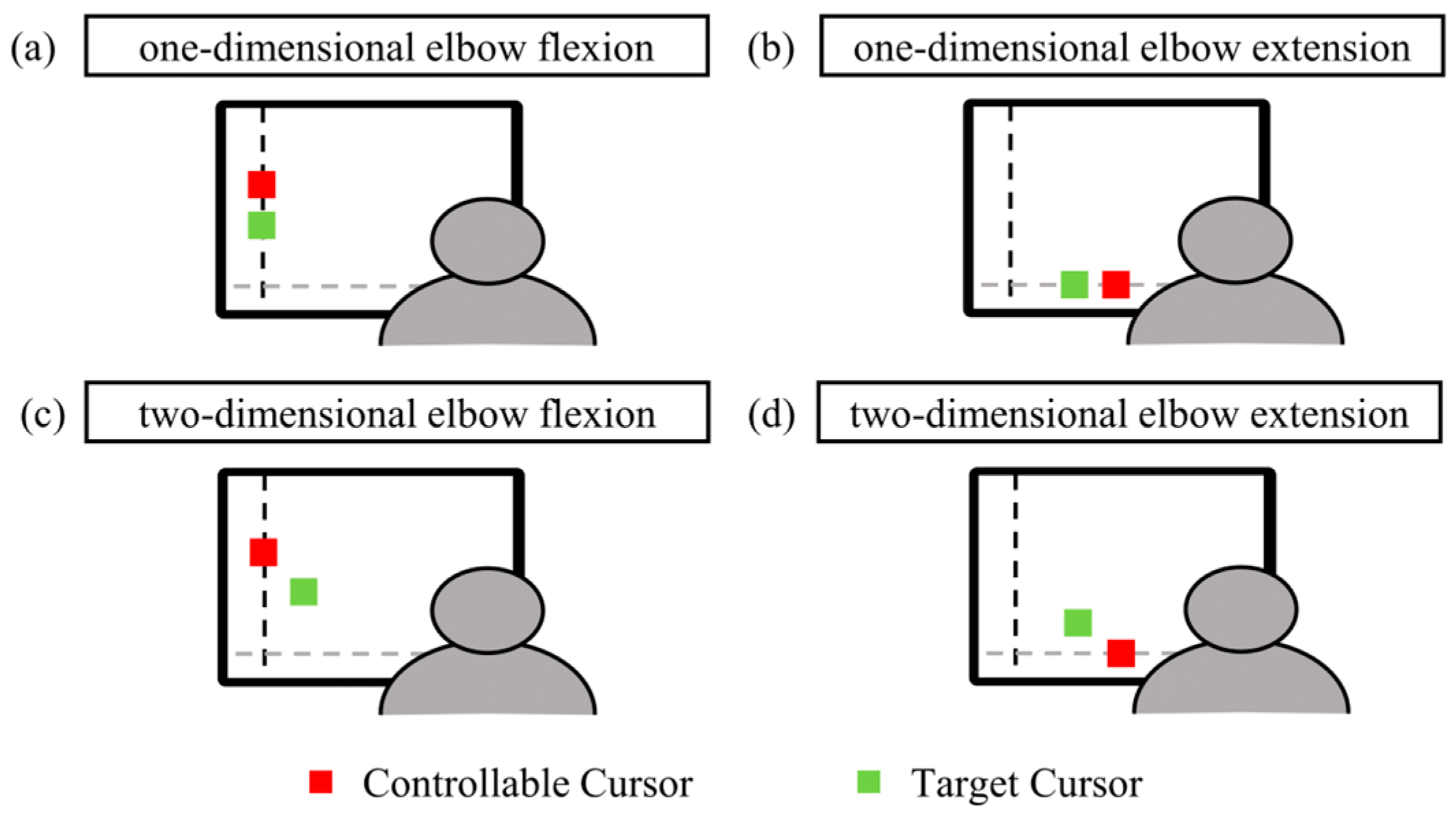 Bioengineering 11 00802 g001
