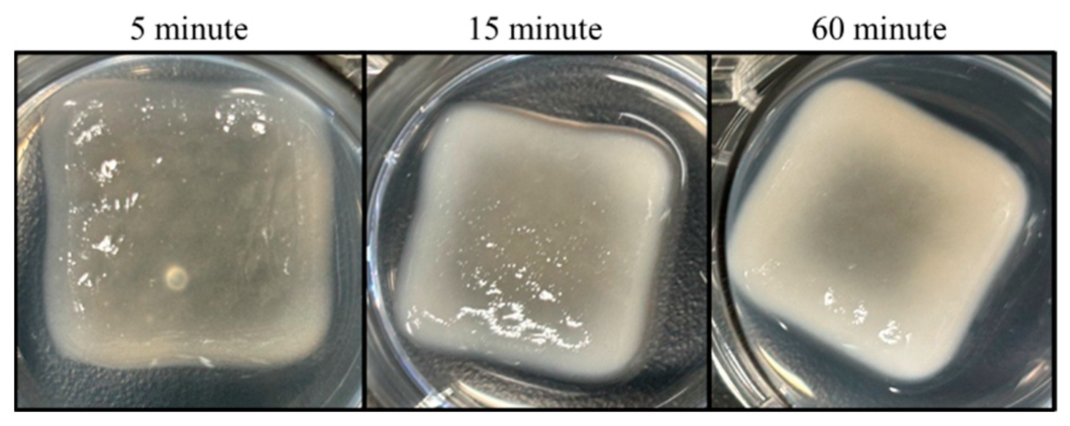Bioengineering 11 00804 g004