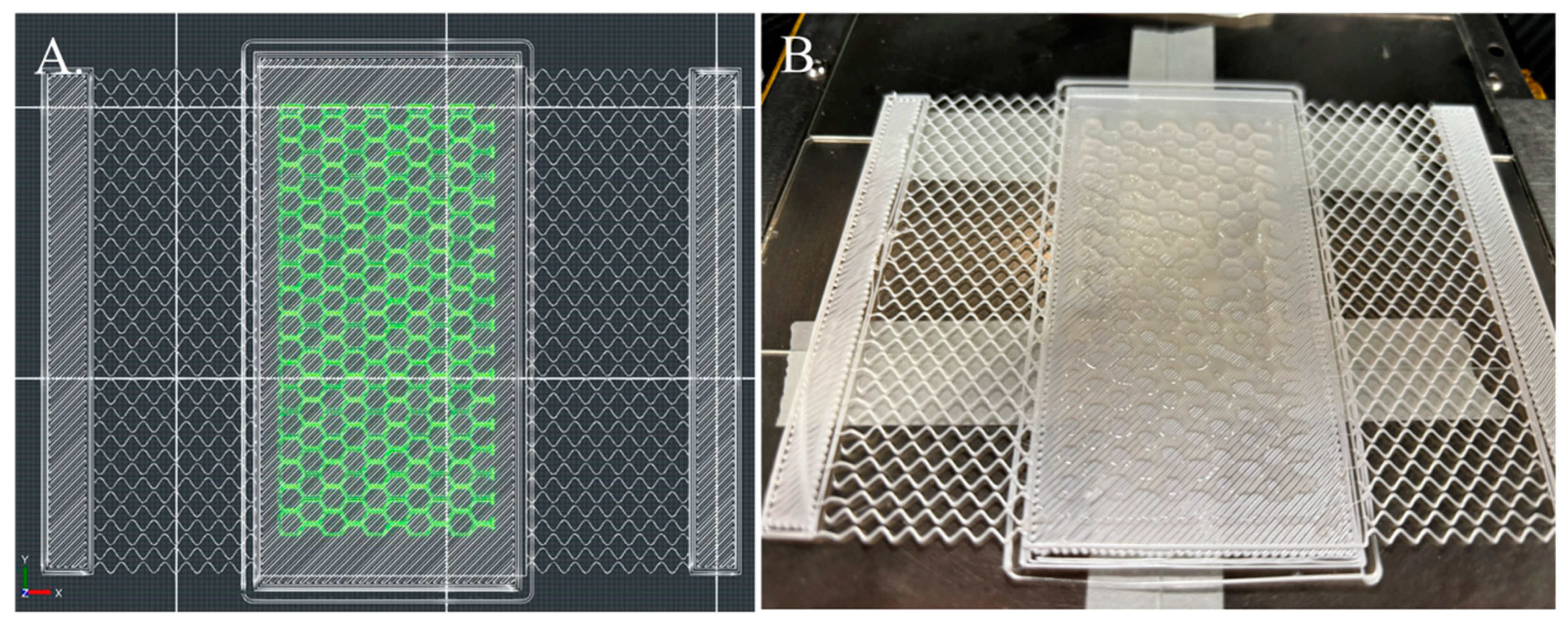 Bioengineering 11 00804 g009