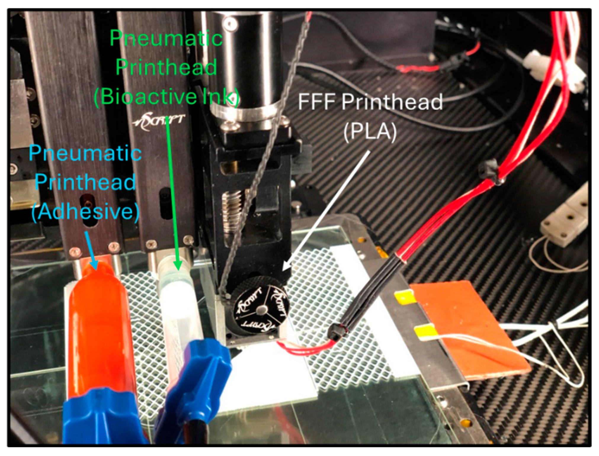 Bioengineering 11 00804 g010