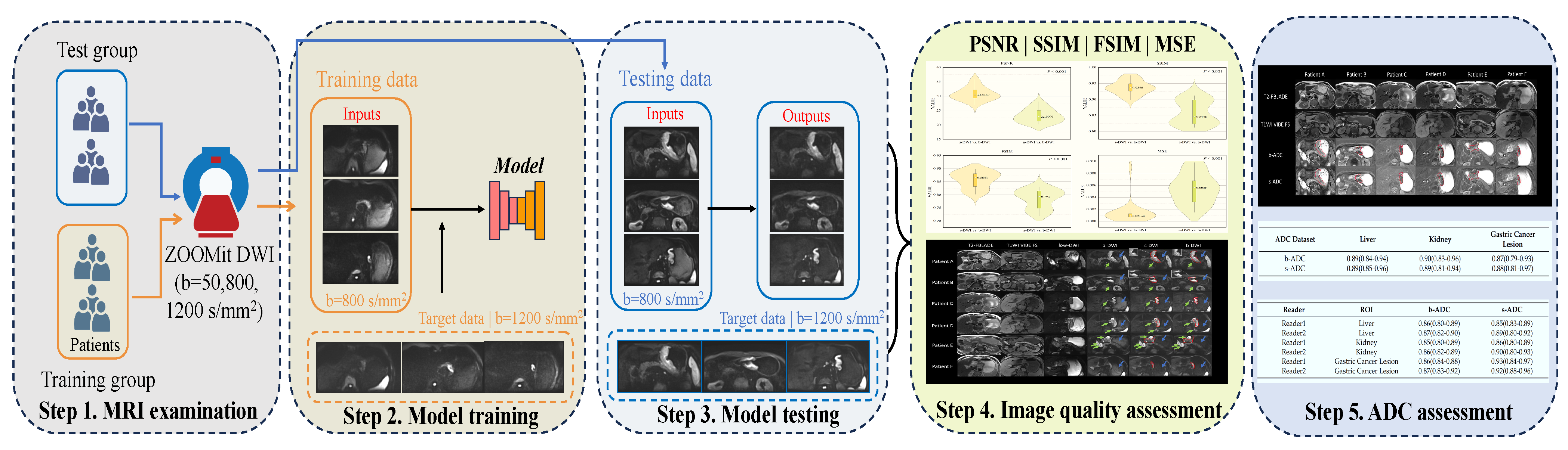 Bioengineering 11 00805 g001