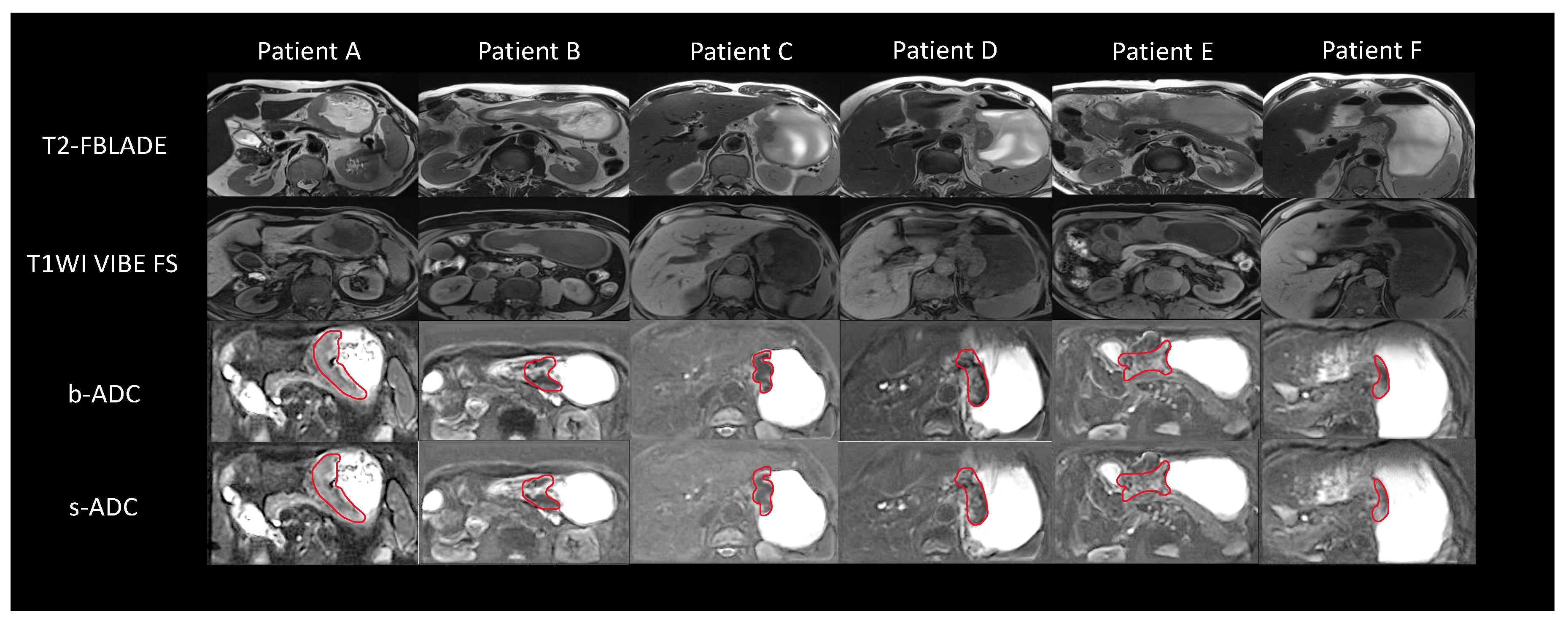 Bioengineering 11 00805 g009