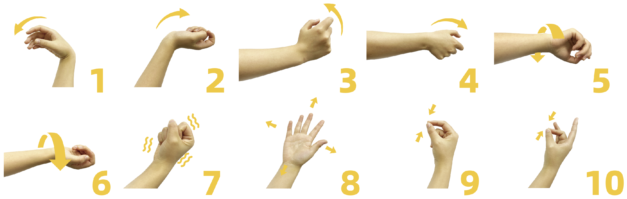 Bioengineering 11 00811 g002