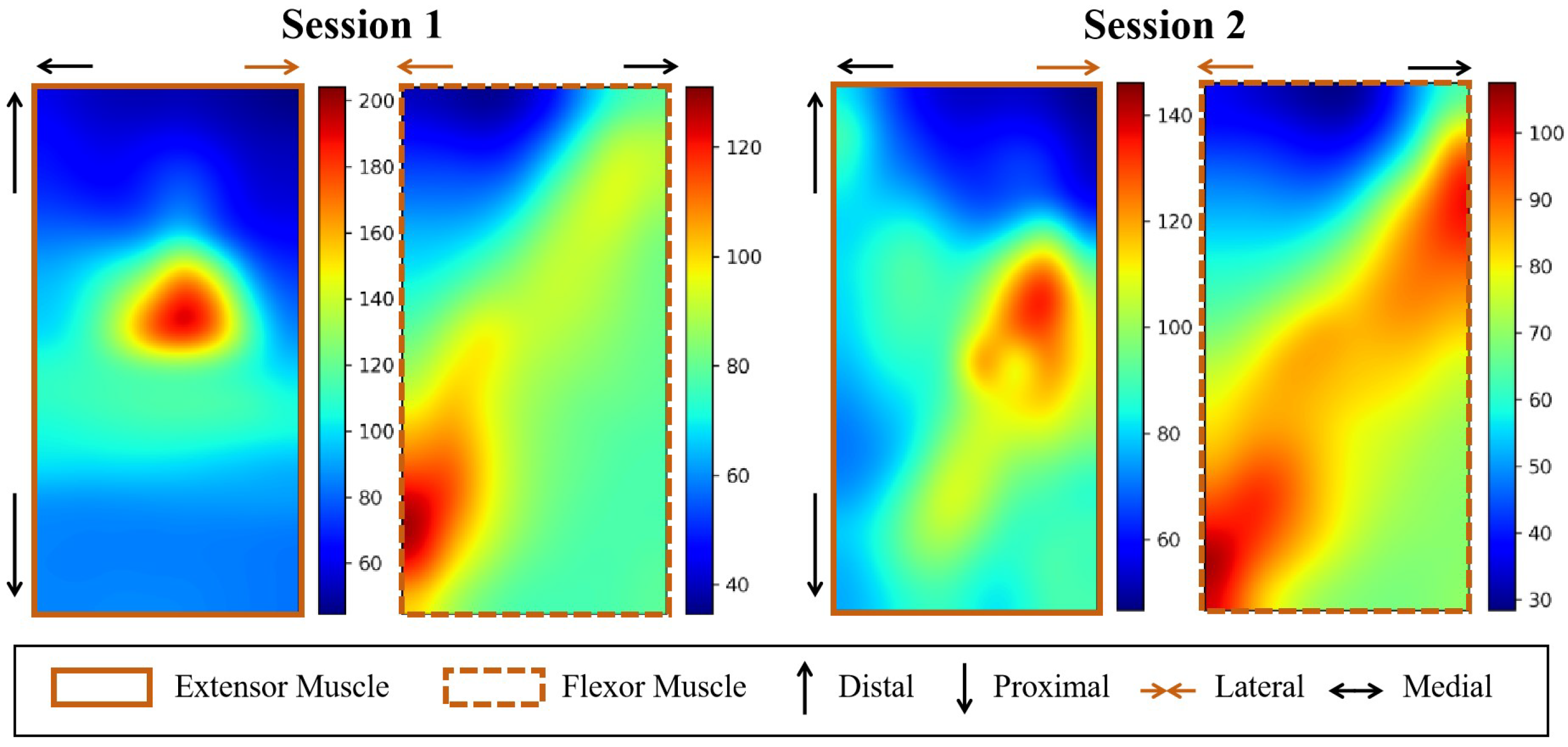 Bioengineering 11 00811 g003