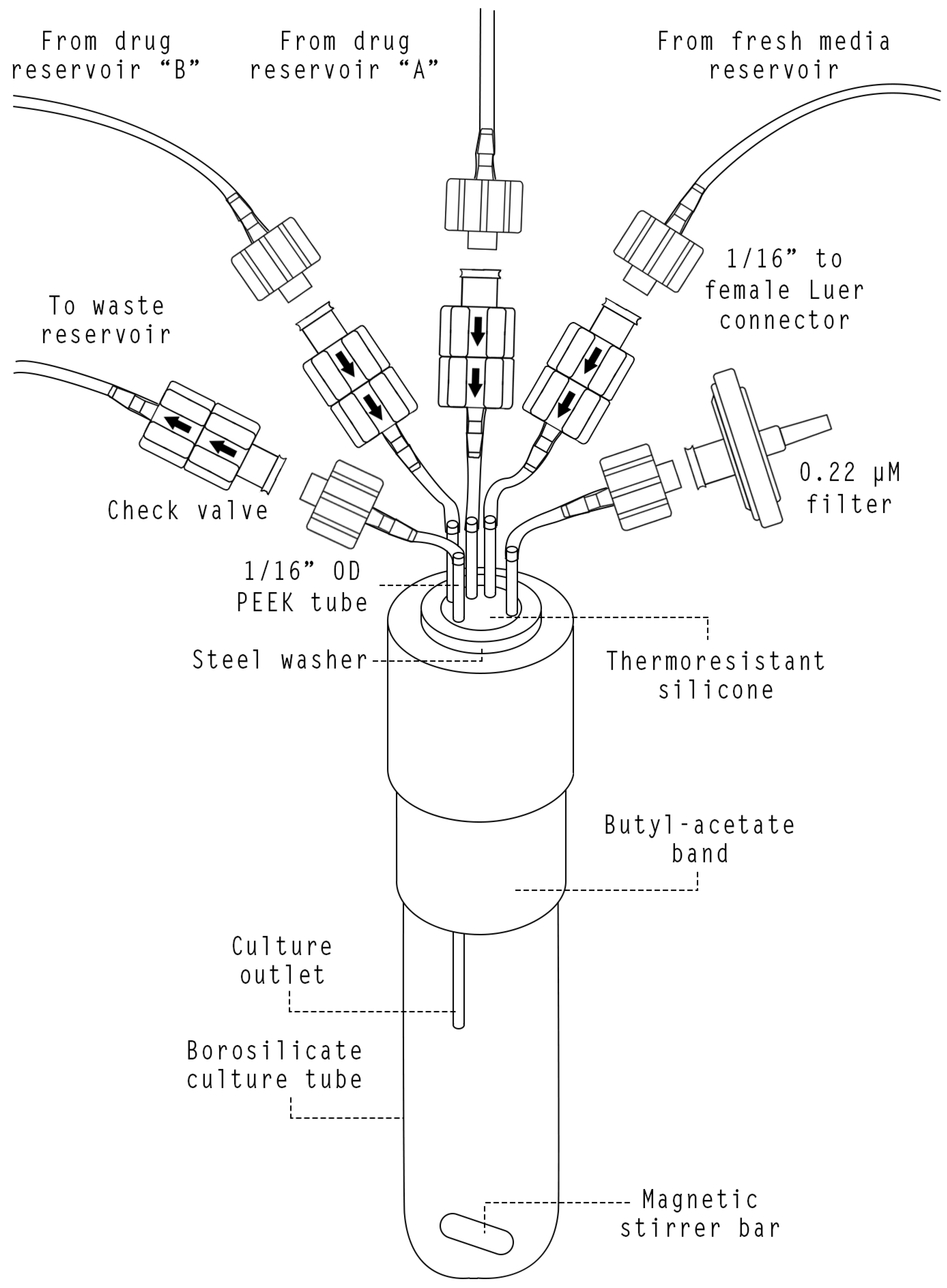 Bioengineering 11 00815 g005 Bioengineering 11 00815 g005