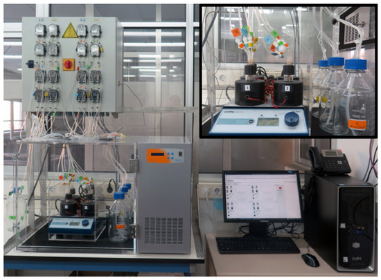 Bioengineering 11 00815 g0a1