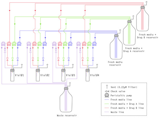 Bioengineering 11 00815 g0a2