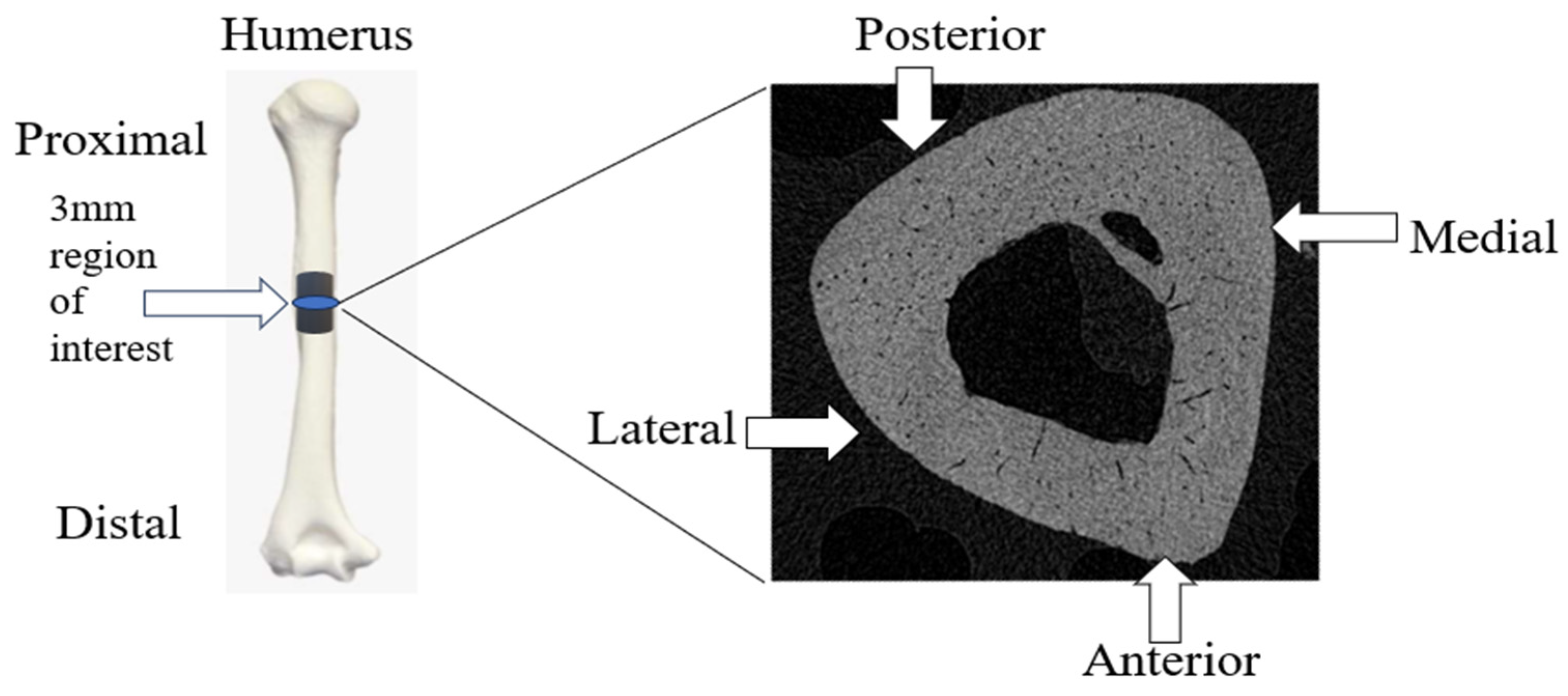 Bioengineering 11 00819 g001