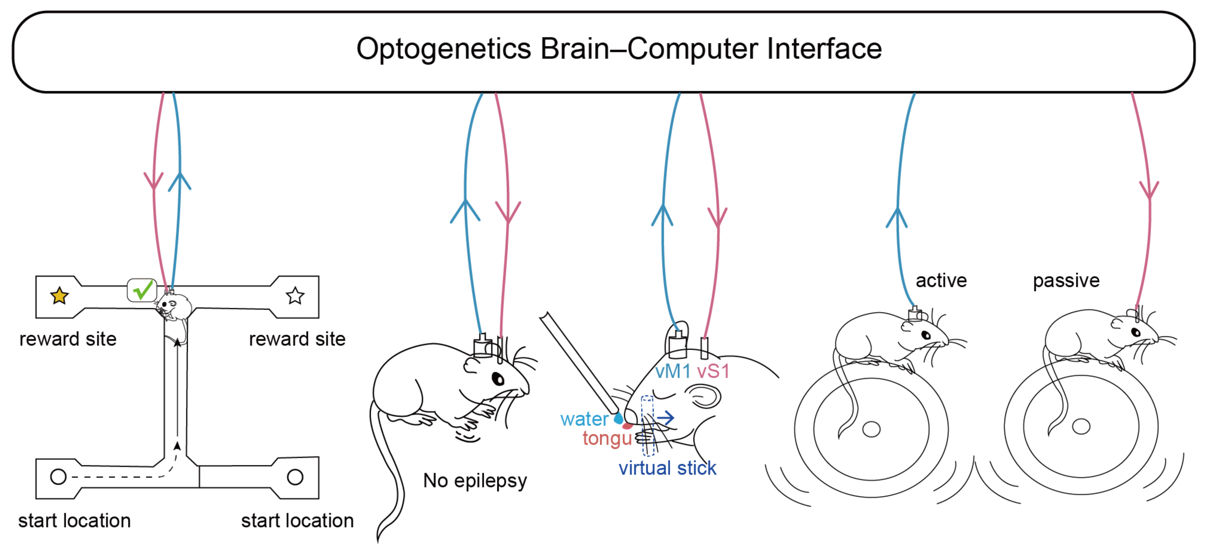 Bioengineering 11 00821 g002