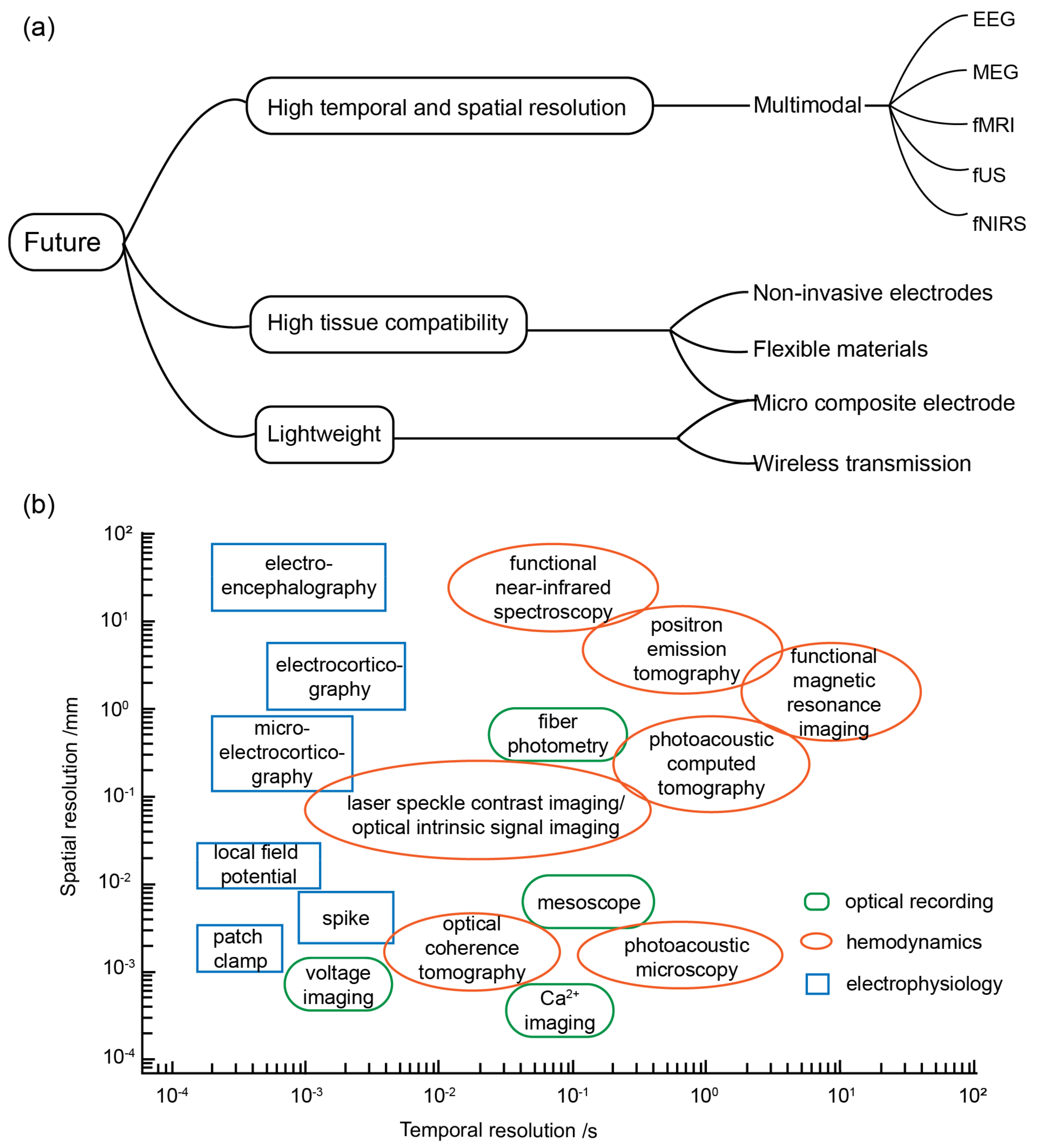 Bioengineering 11 00821 g003