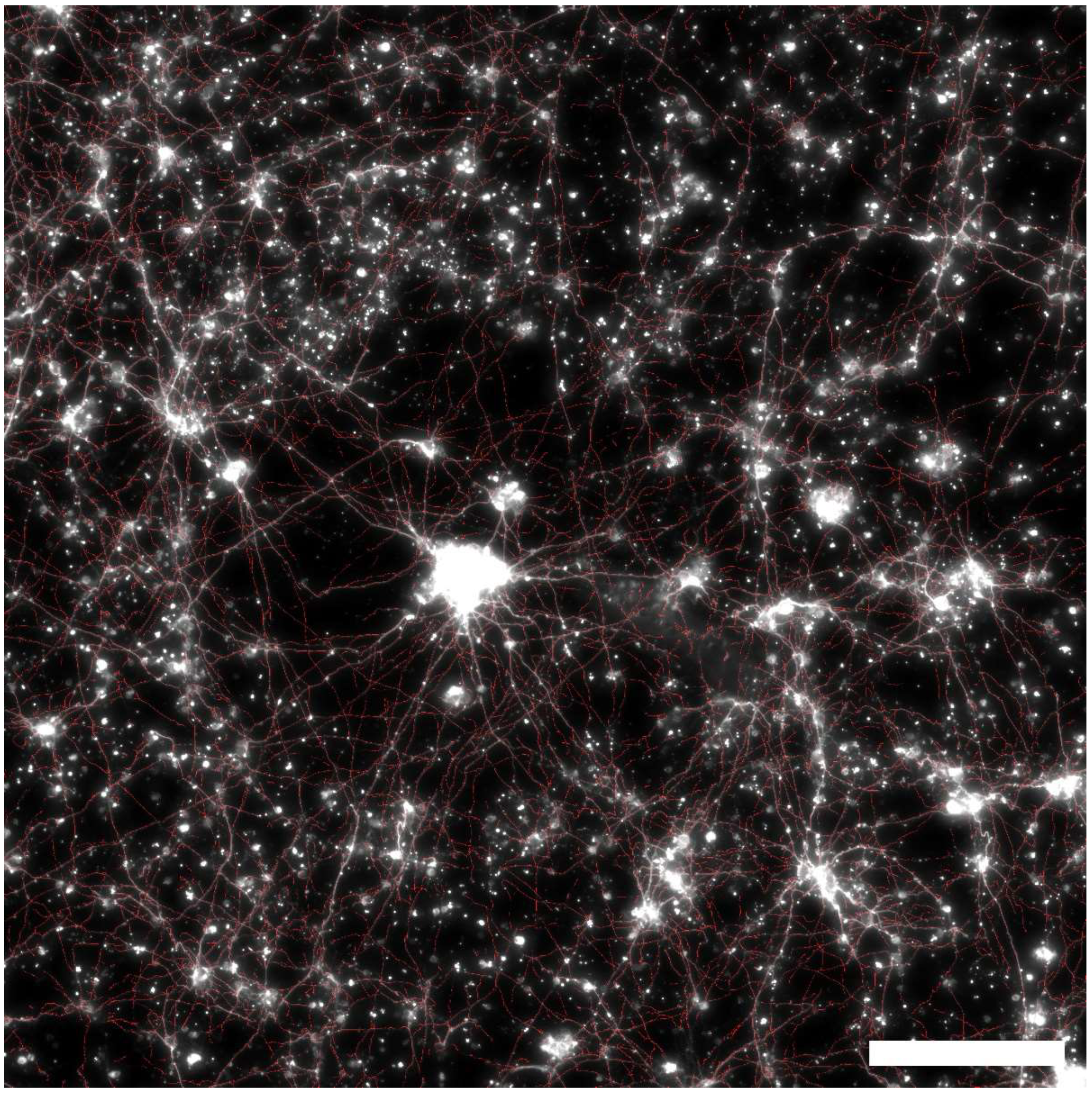 Bioengineering 11 00823 g005