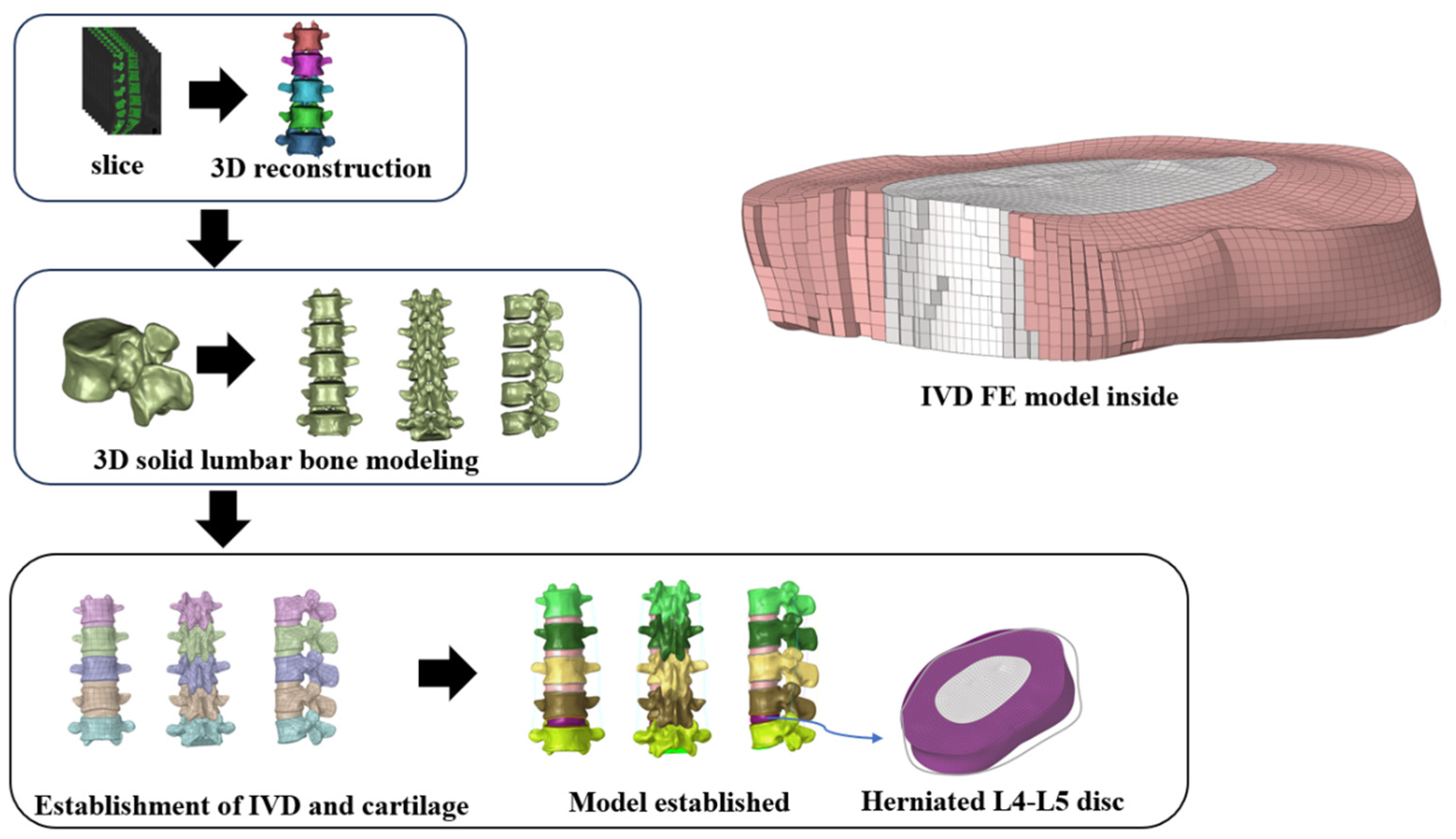 Bioengineering 11 00825 g002