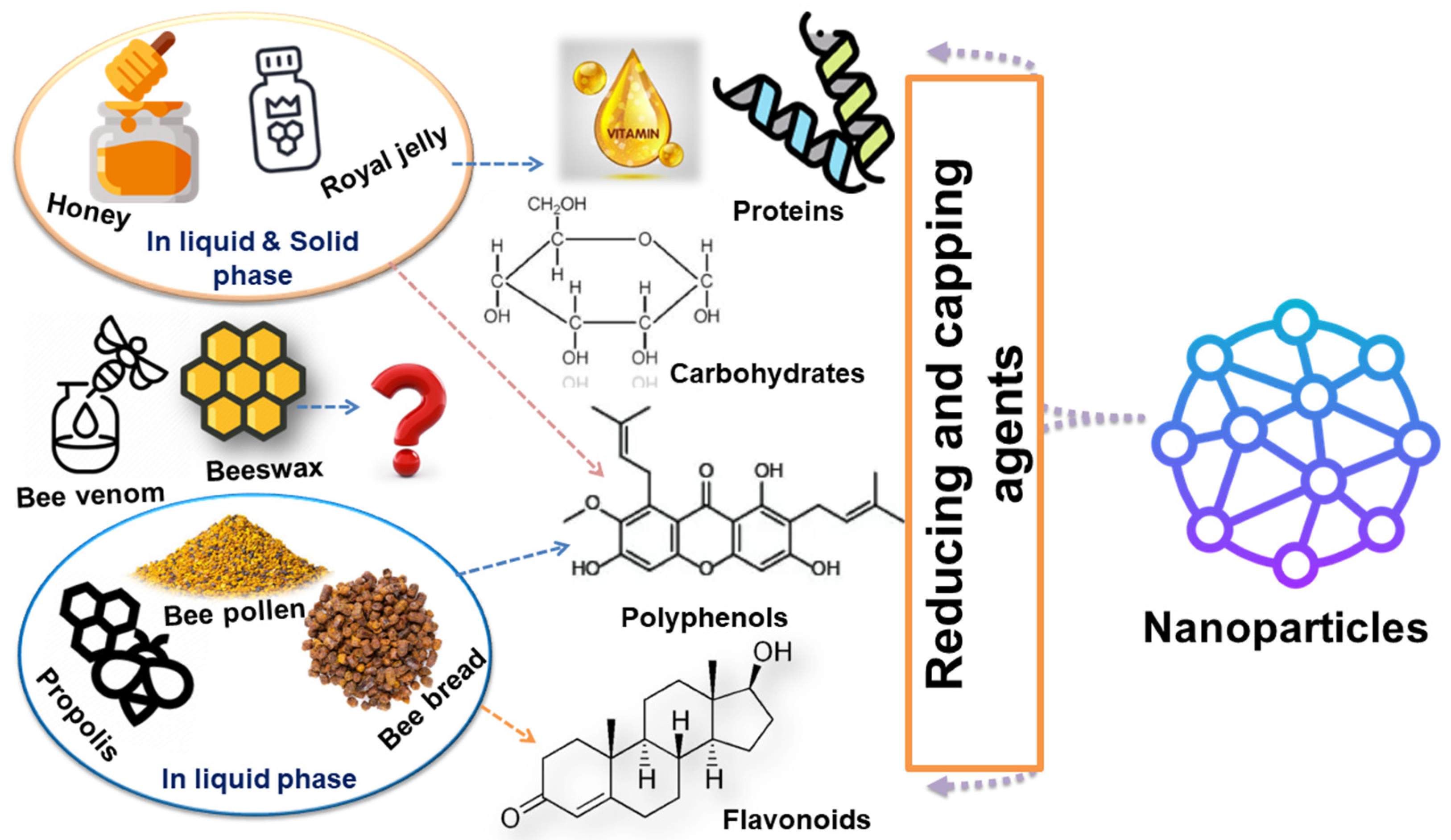 Bioengineering 11 00829 g002