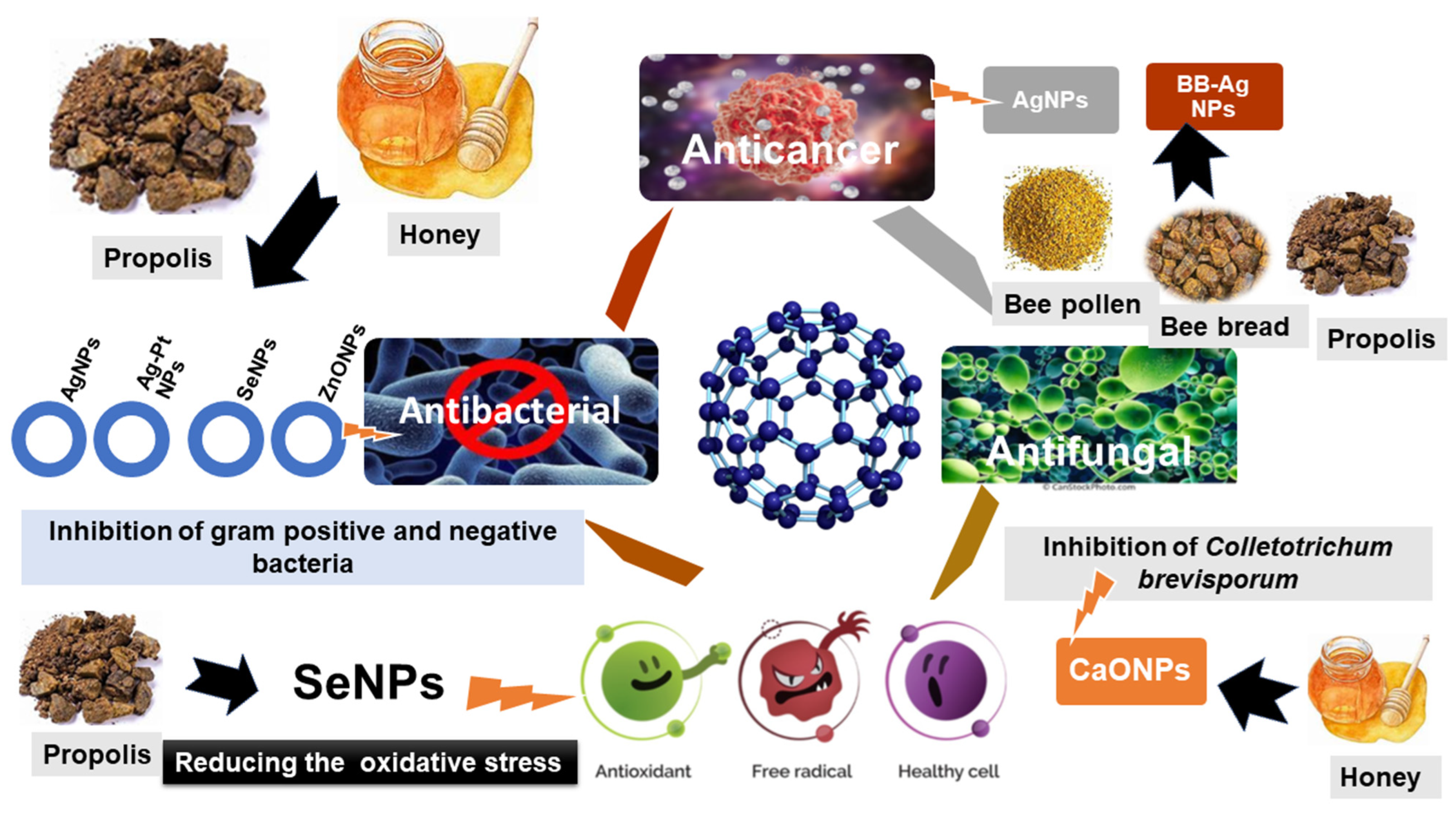 Bioengineering 11 00829 g007