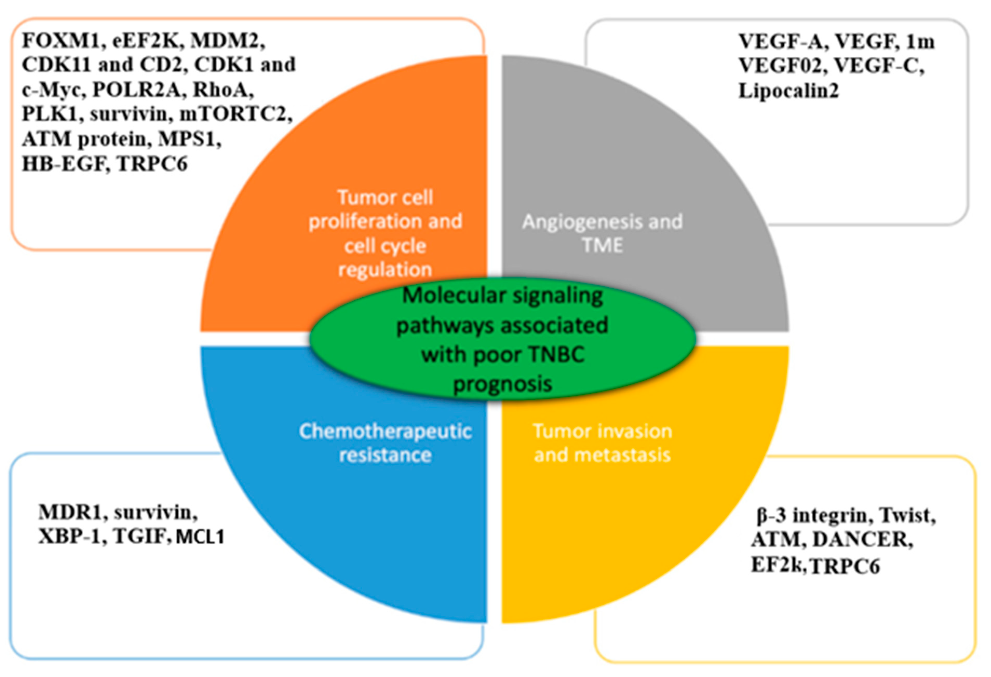 Bioengineering 11 00830 g006