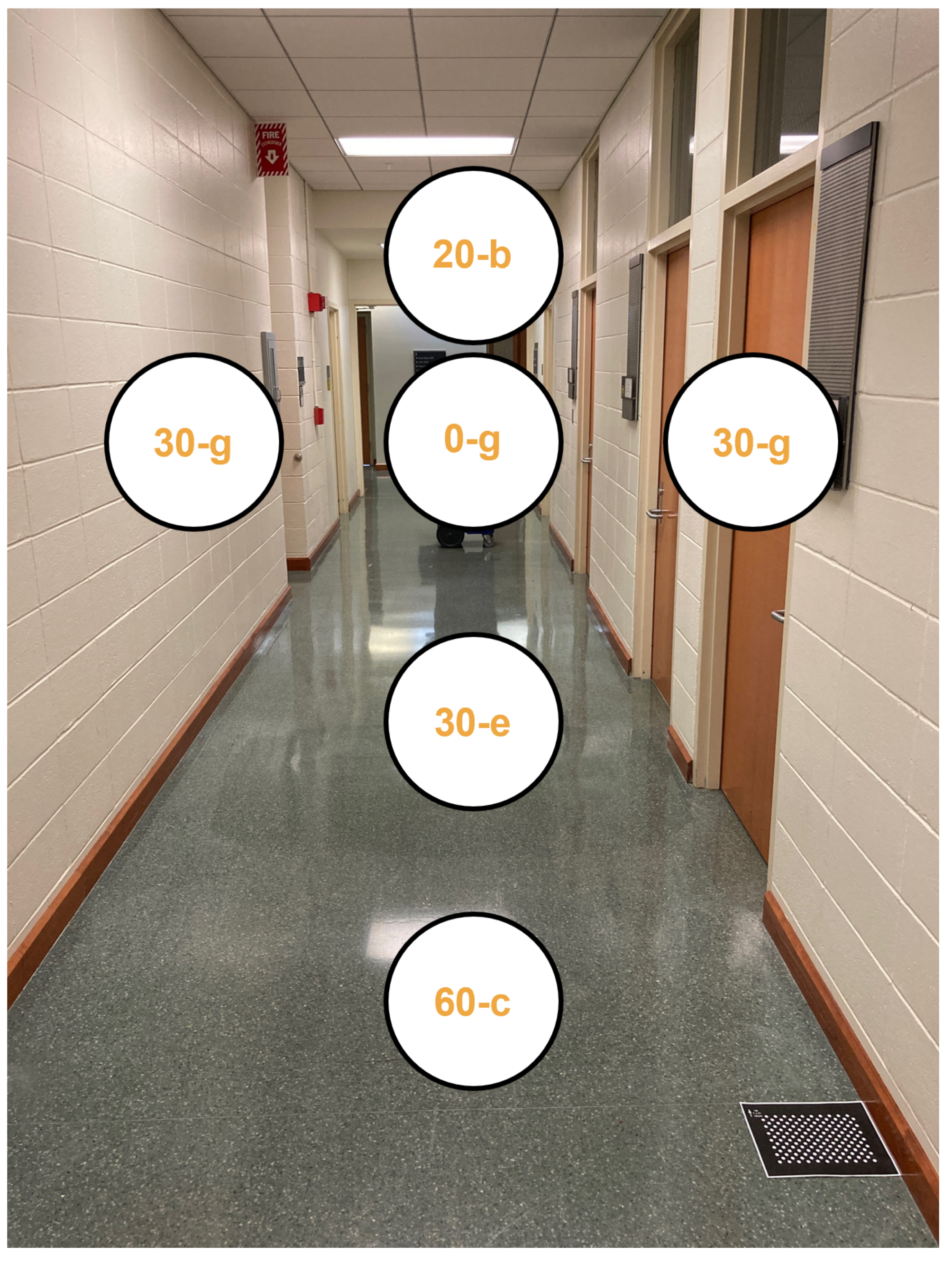 Bioengineering 11 00831 g004