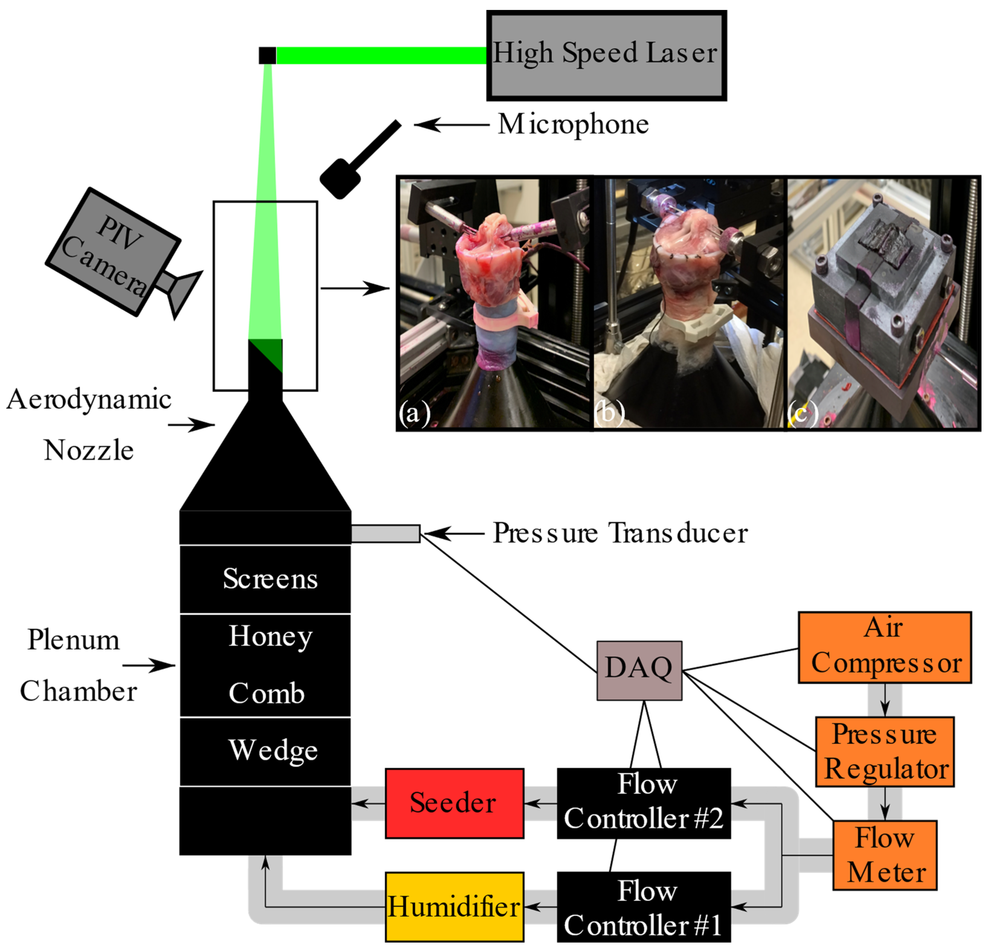 Bioengineering 11 00834 g001