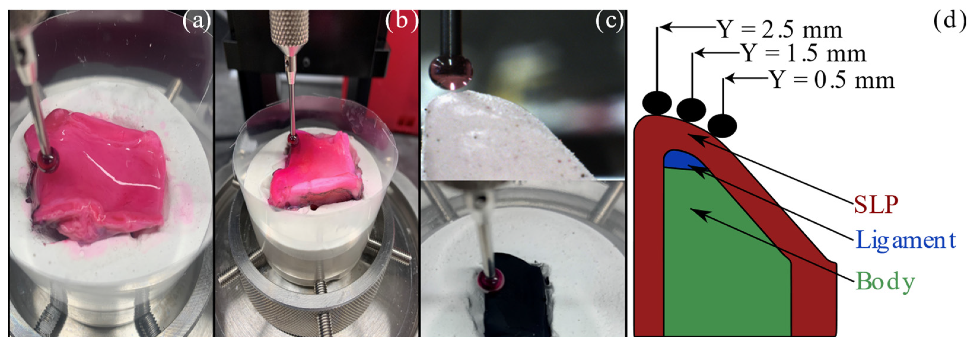 Bioengineering 11 00834 g002