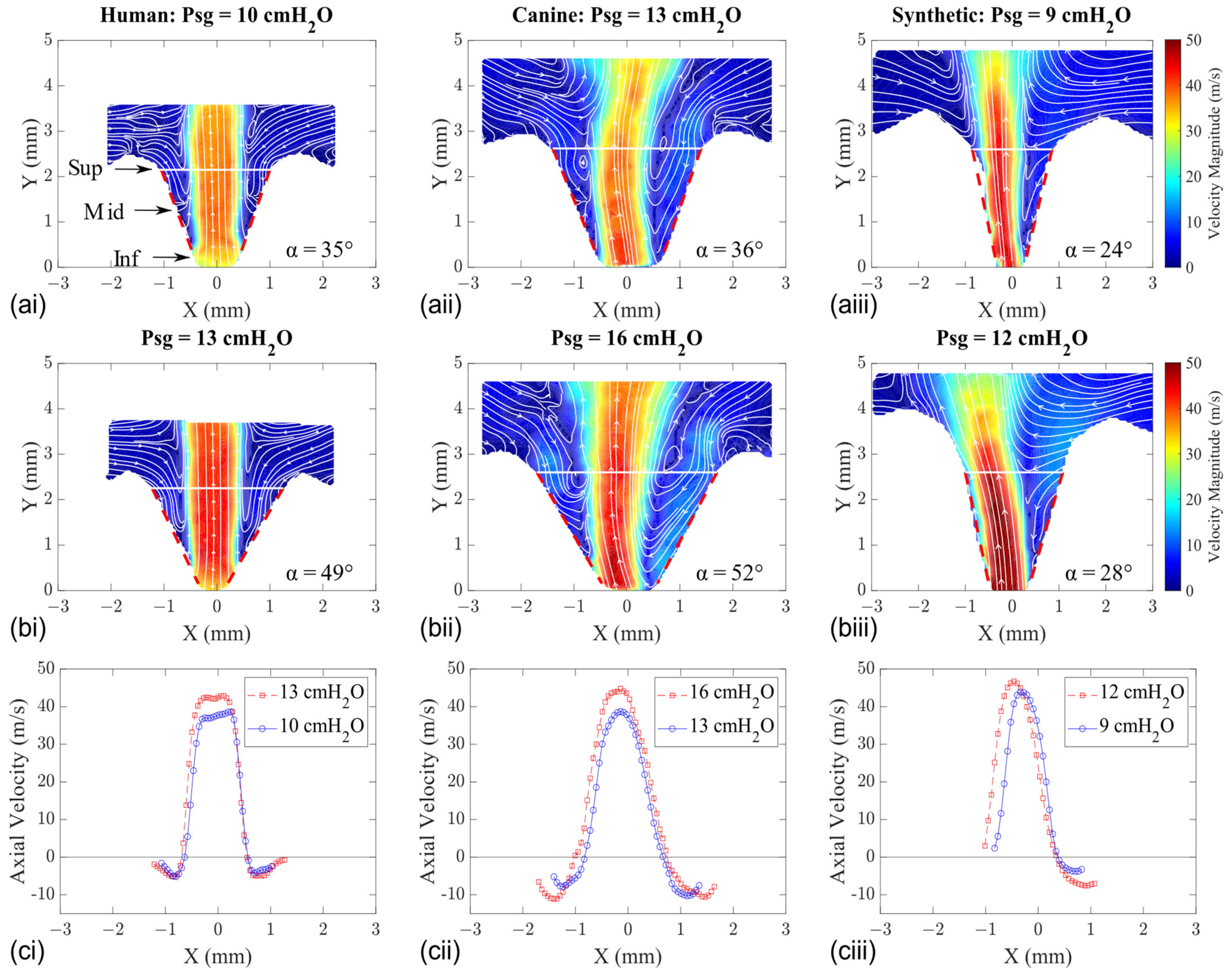 Bioengineering 11 00834 g006