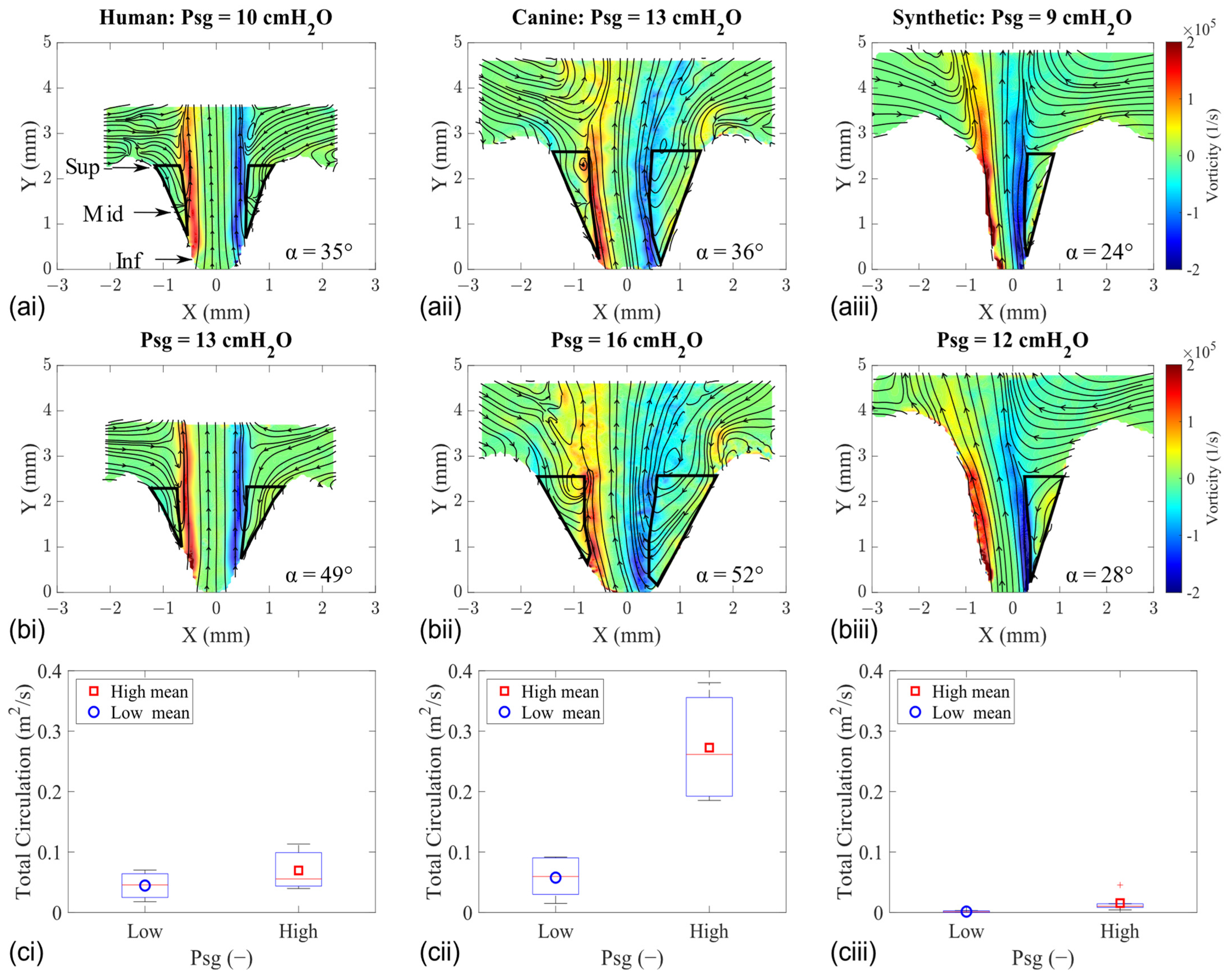 Bioengineering 11 00834 g007