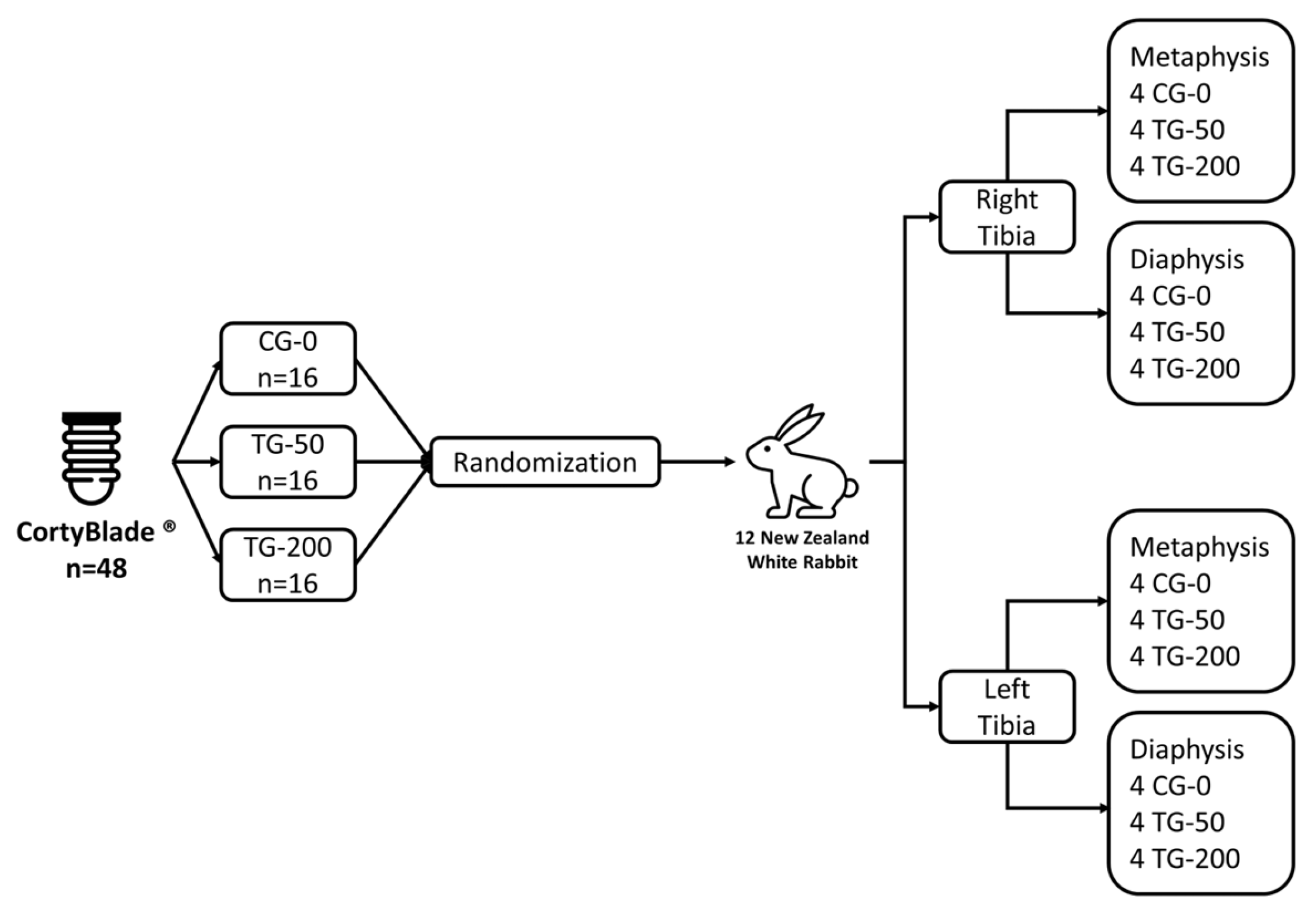 Bioengineering 11 00835 g001