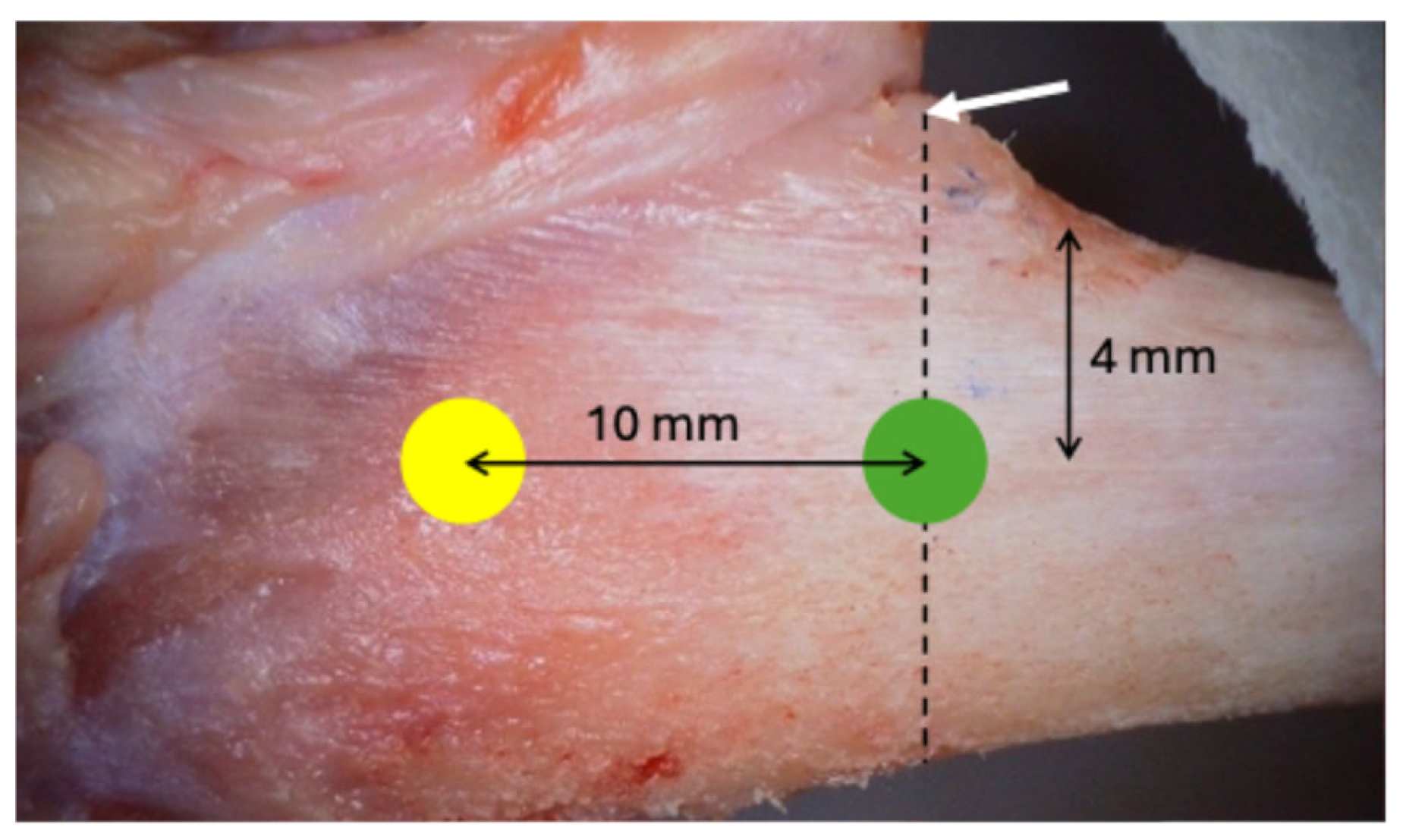 Bioengineering 11 00835 g003