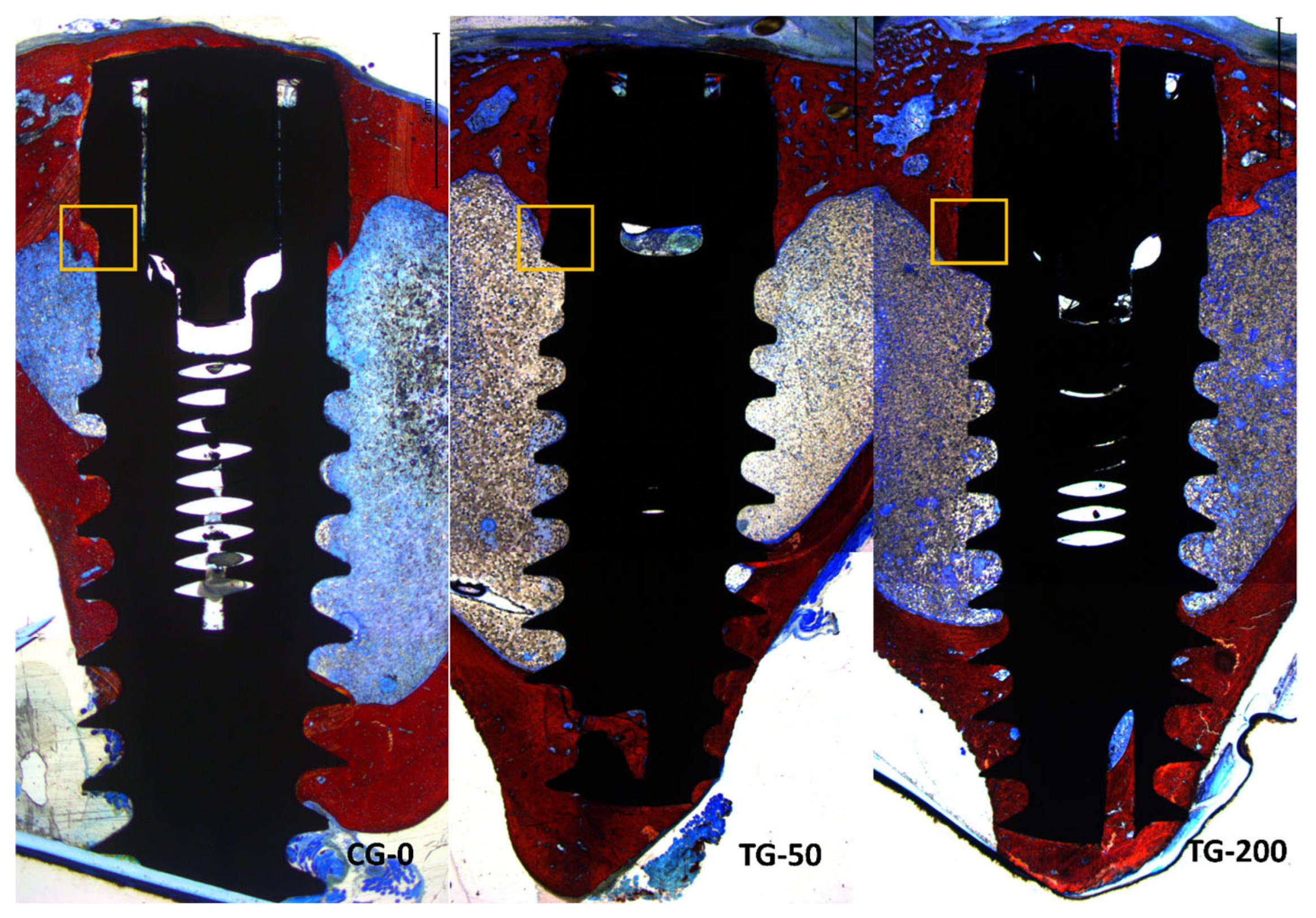 Bioengineering 11 00835 g006