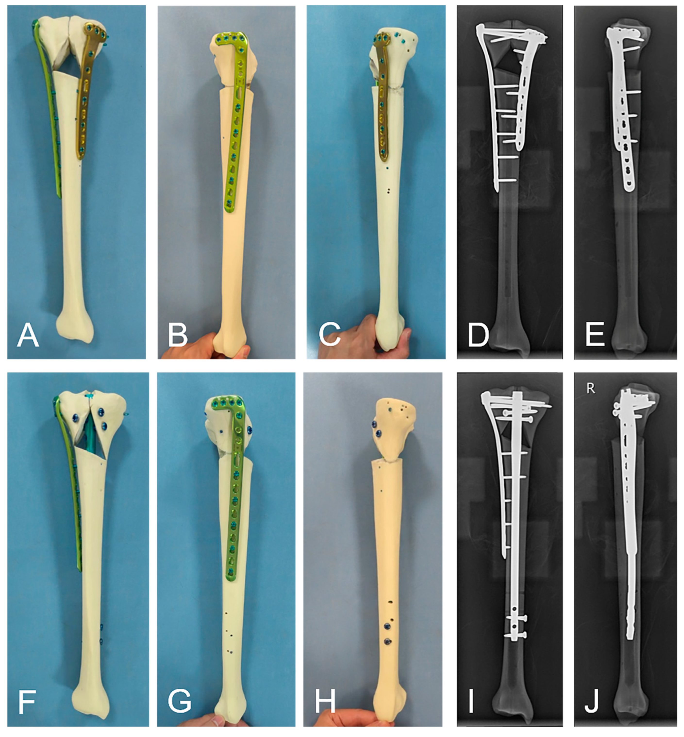 Bioengineering 11 00839 g001