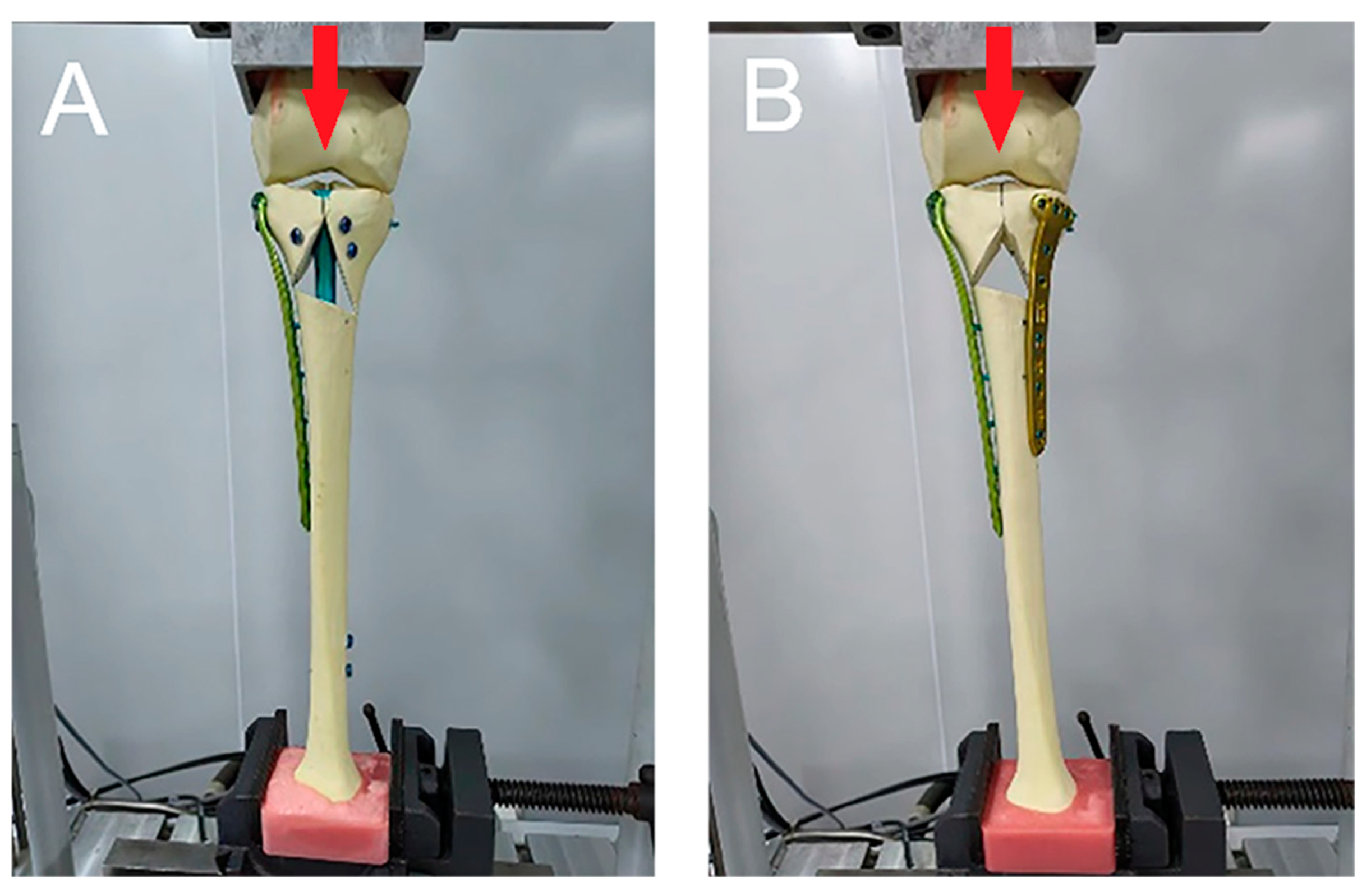 Bioengineering 11 00839 g002