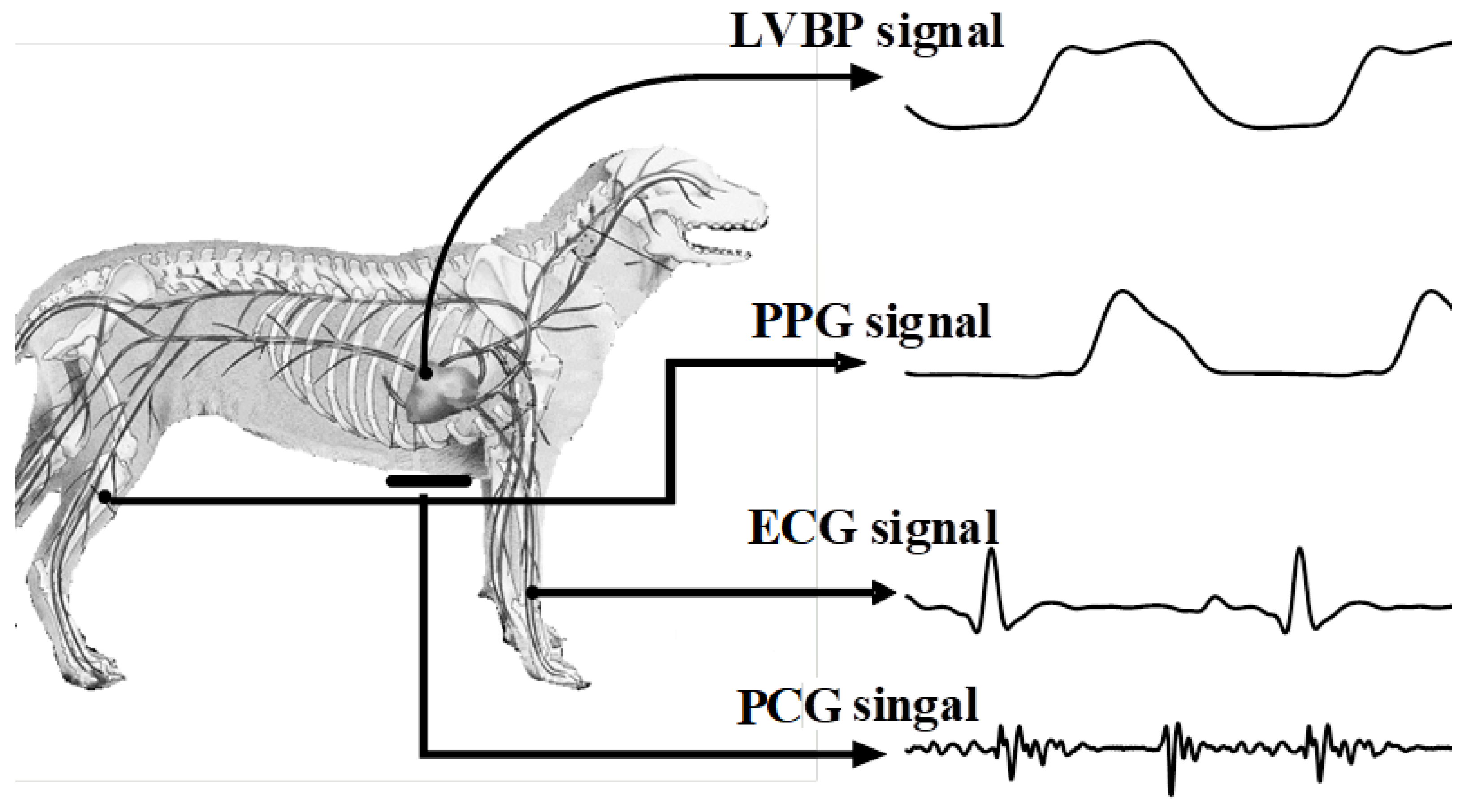 Bioengineering 11 00842 g001