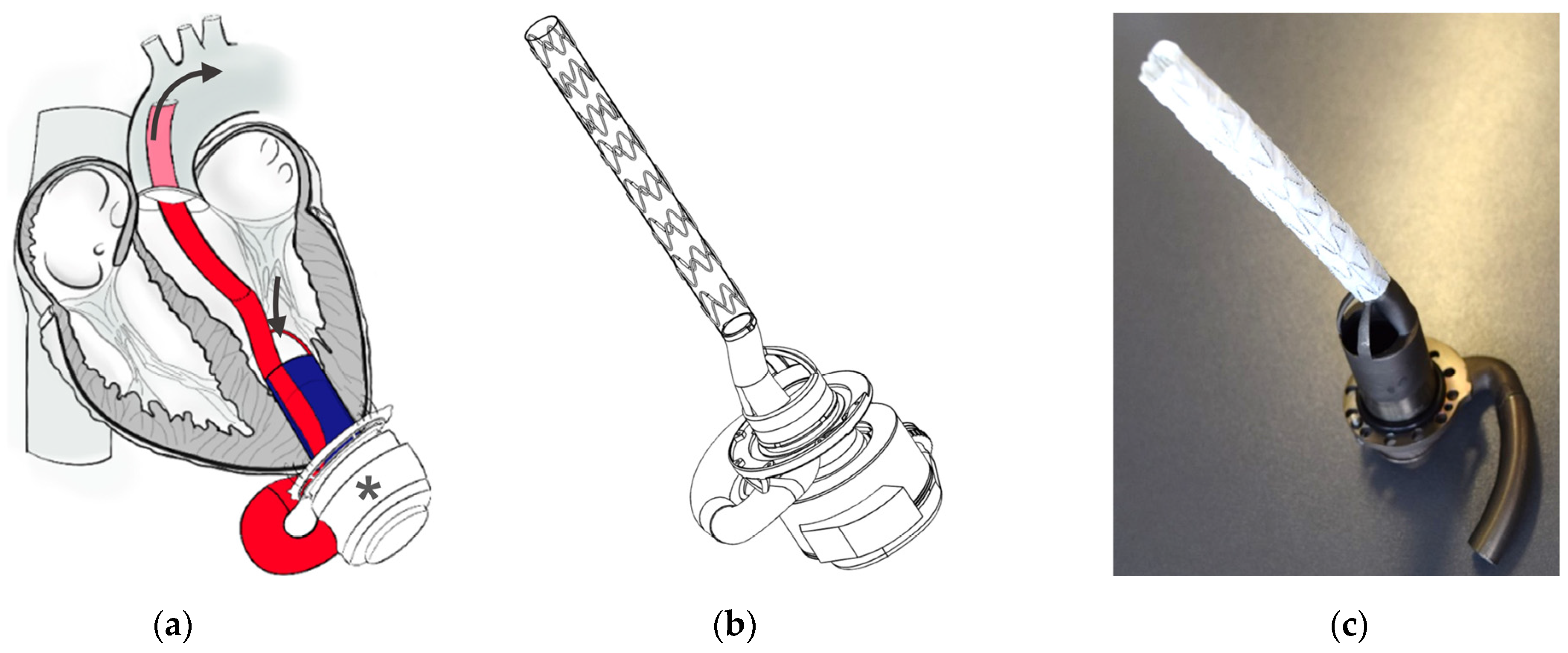 Bioengineering 11 00848 g001