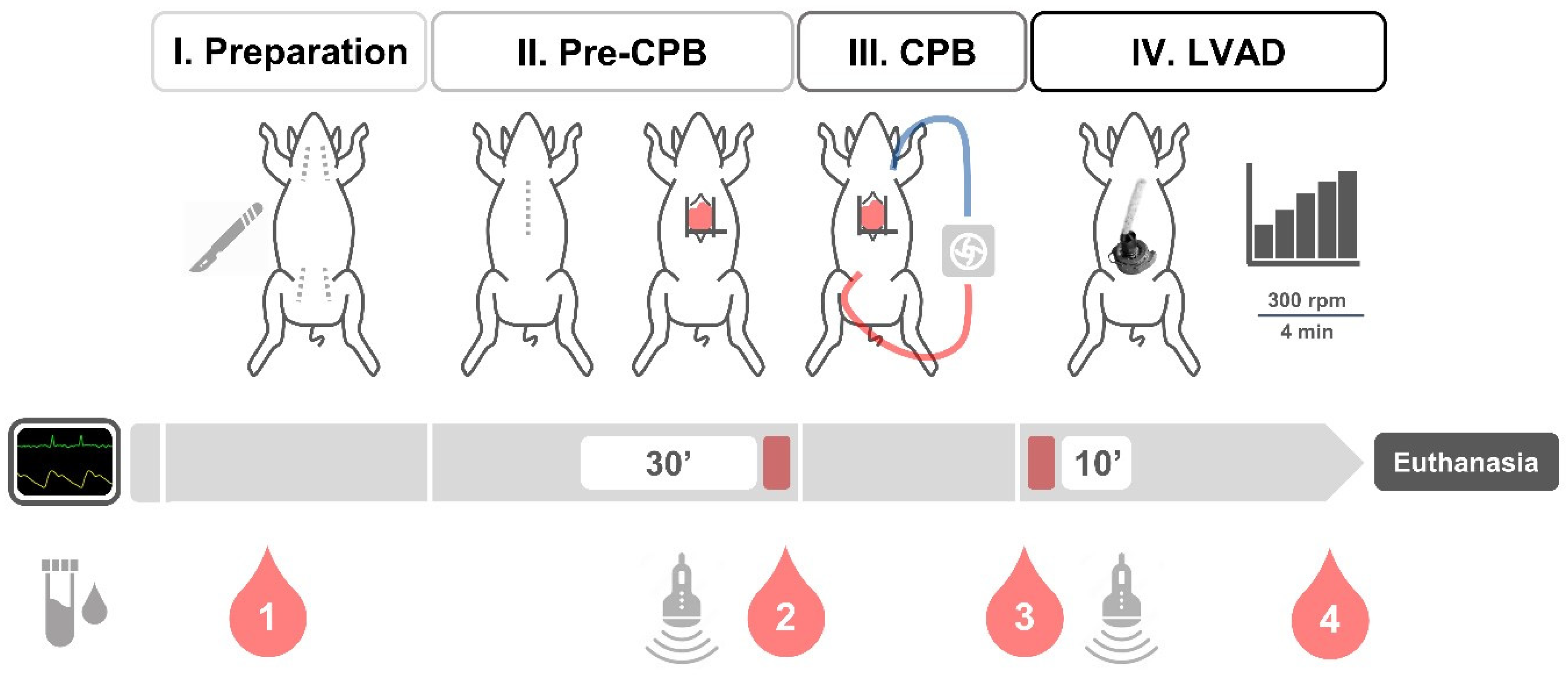 Bioengineering 11 00848 g002