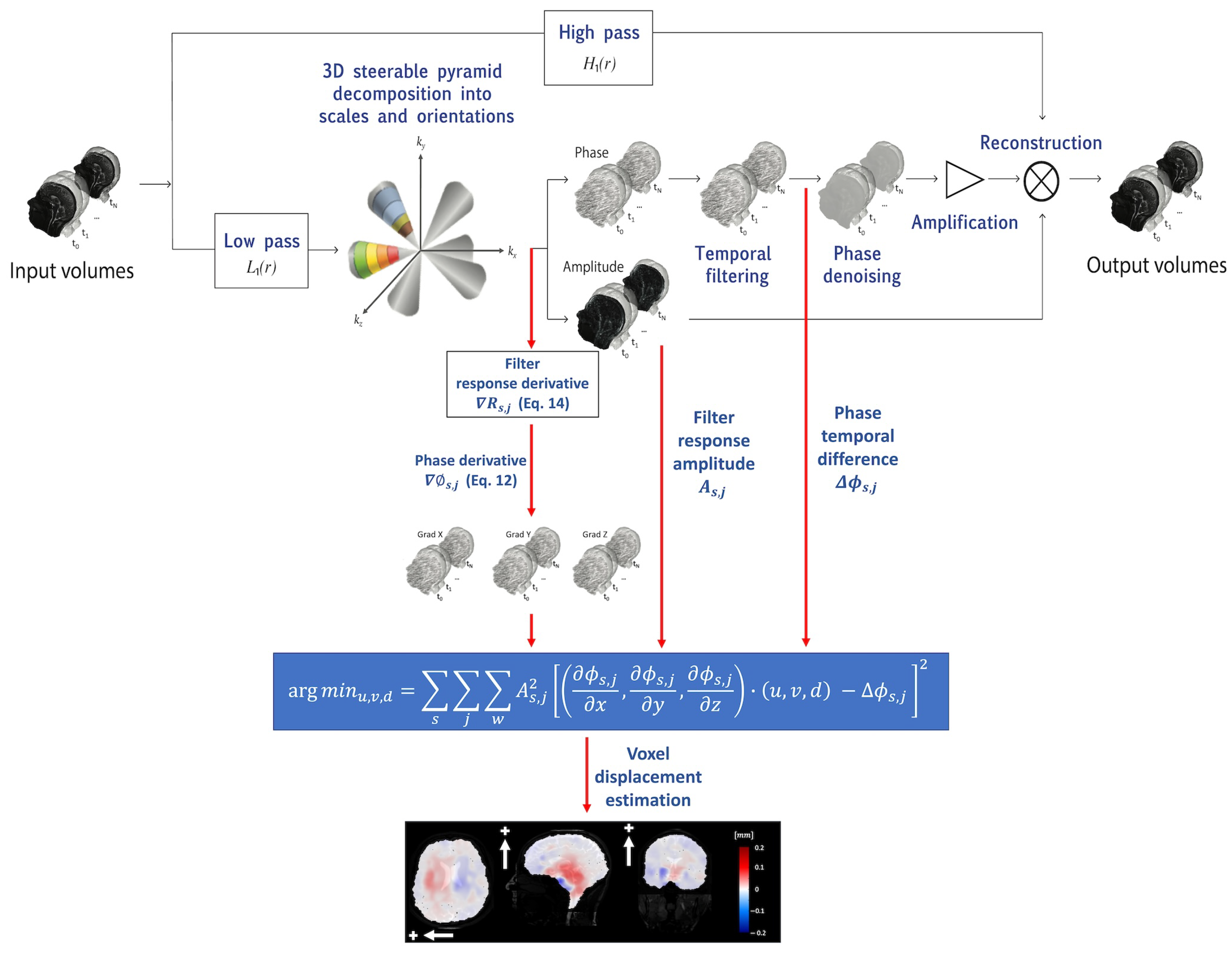 Bioengineering 11 00851 g001