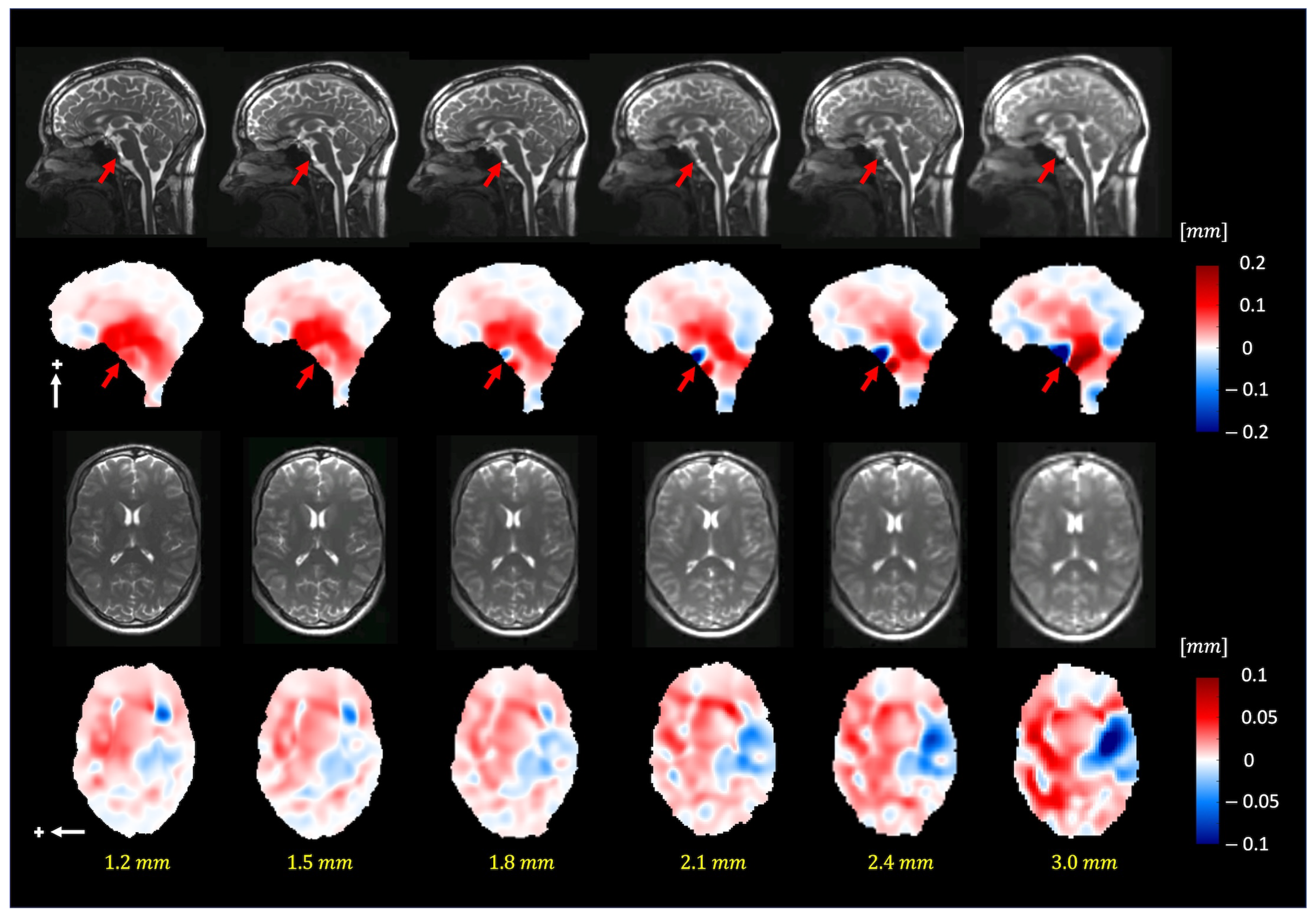 Bioengineering 11 00851 g007