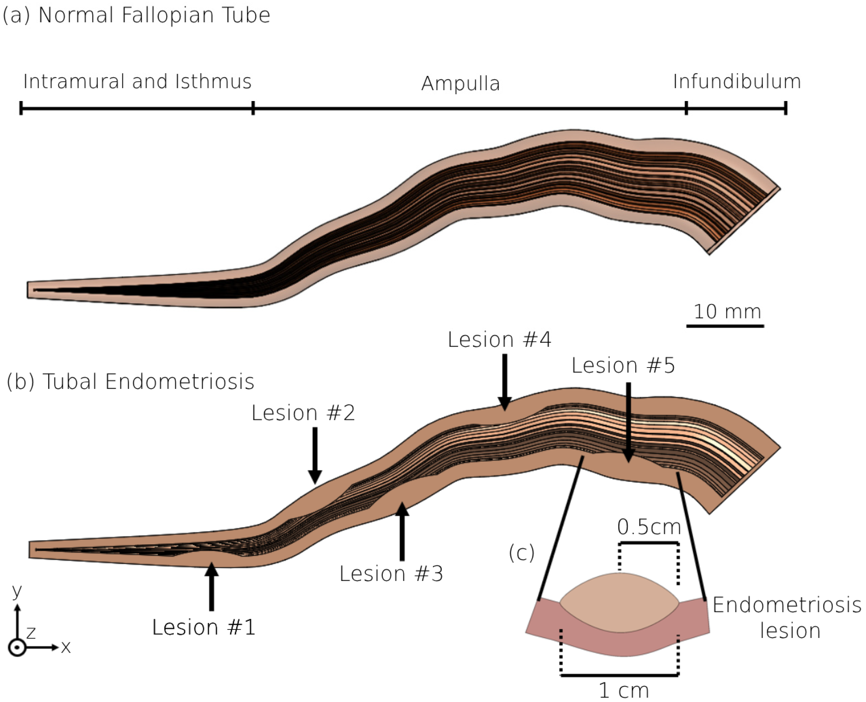 Bioengineering 11 00852 g001 Bioengineering 11 00852 g001