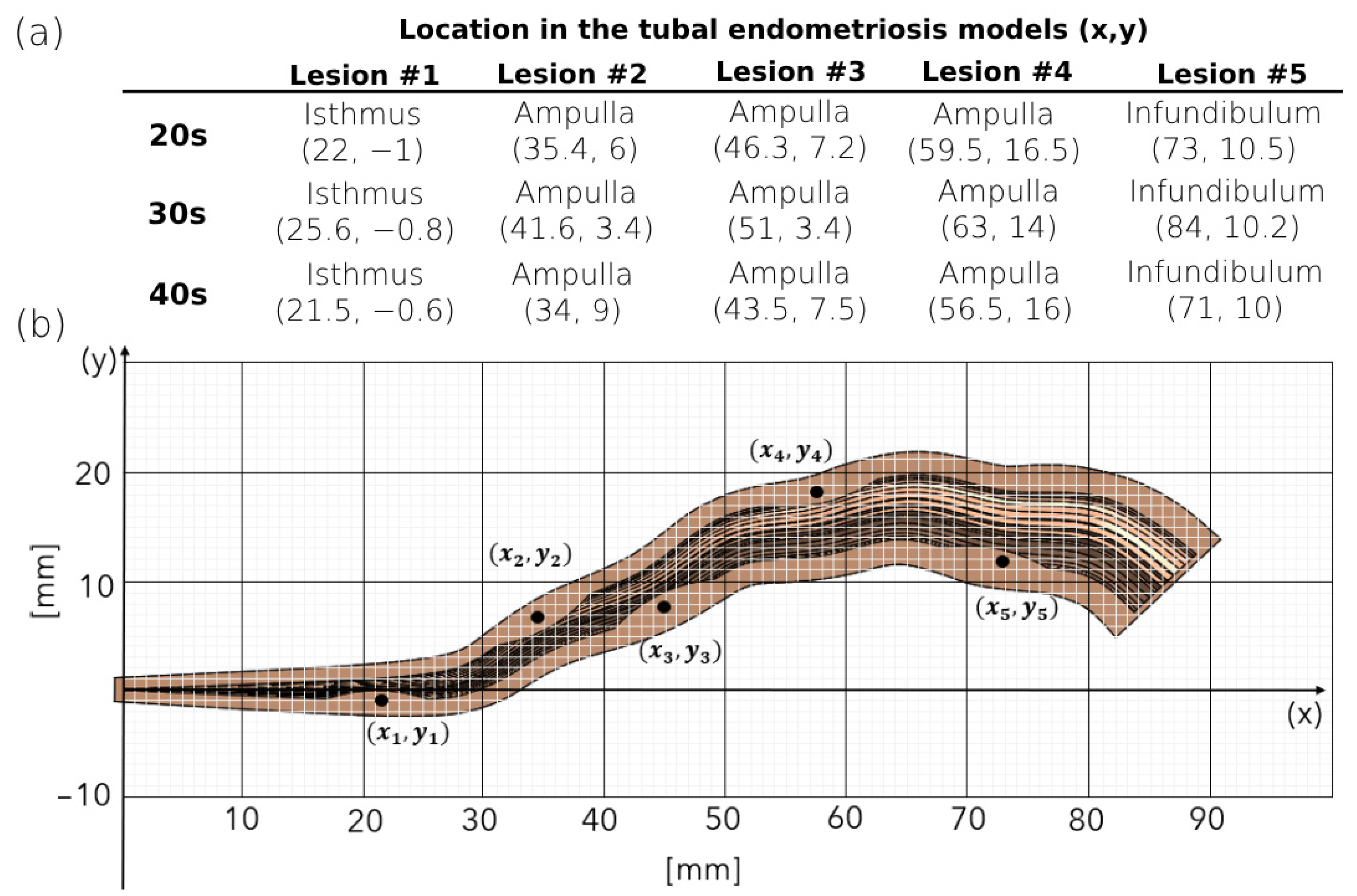 Bioengineering 11 00852 g002 Bioengineering 11 00852 g002