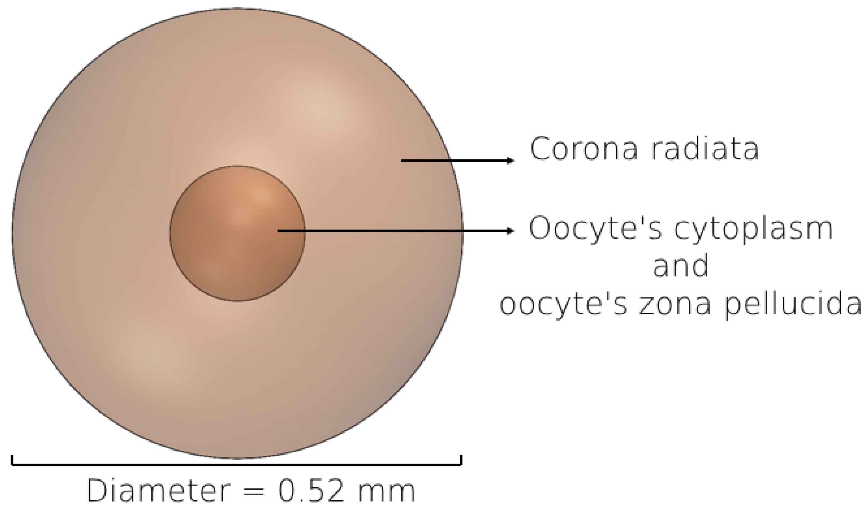 Bioengineering 11 00852 g003 Bioengineering 11 00852 g003