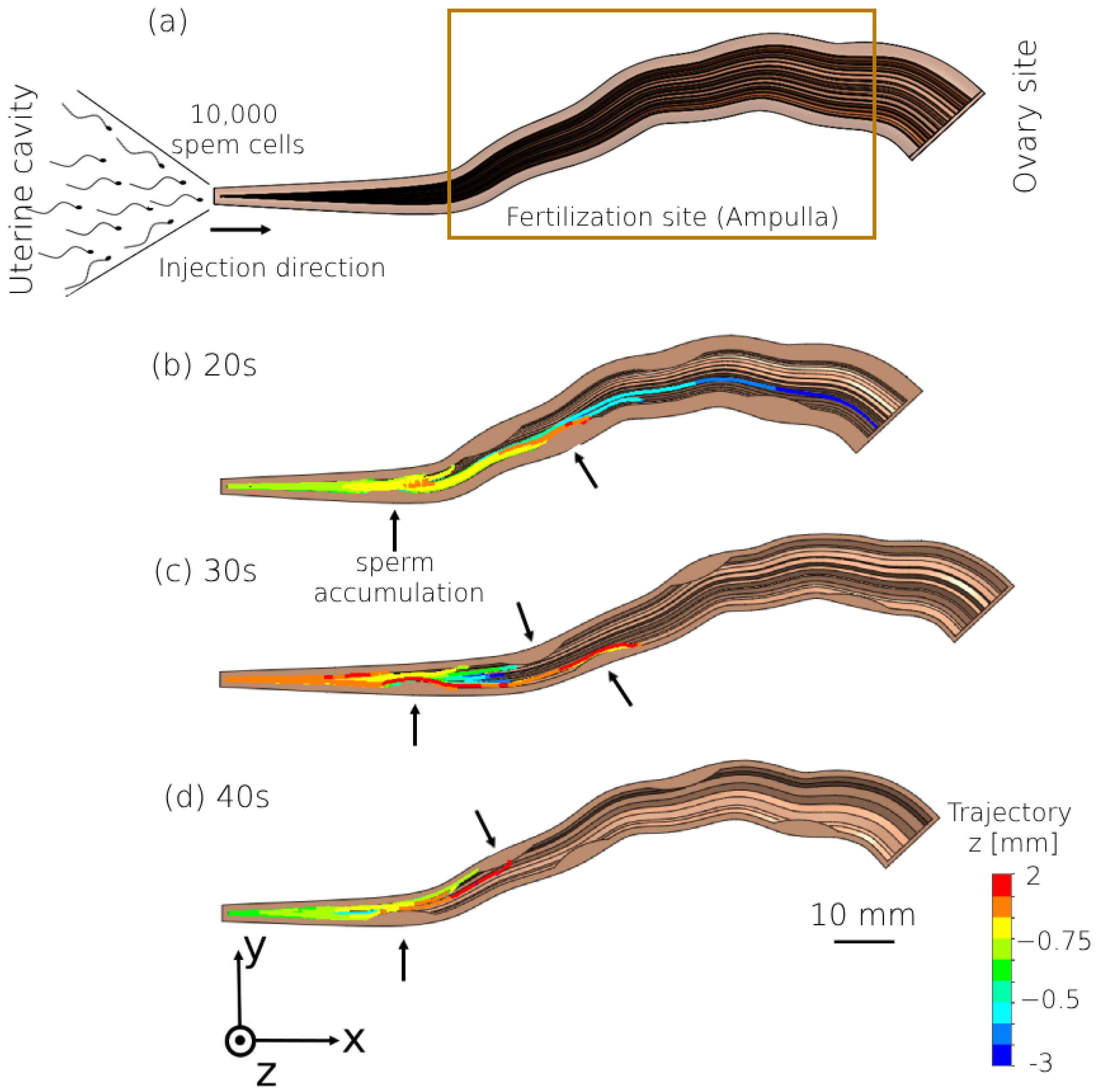 Bioengineering 11 00852 g004 Bioengineering 11 00852 g004