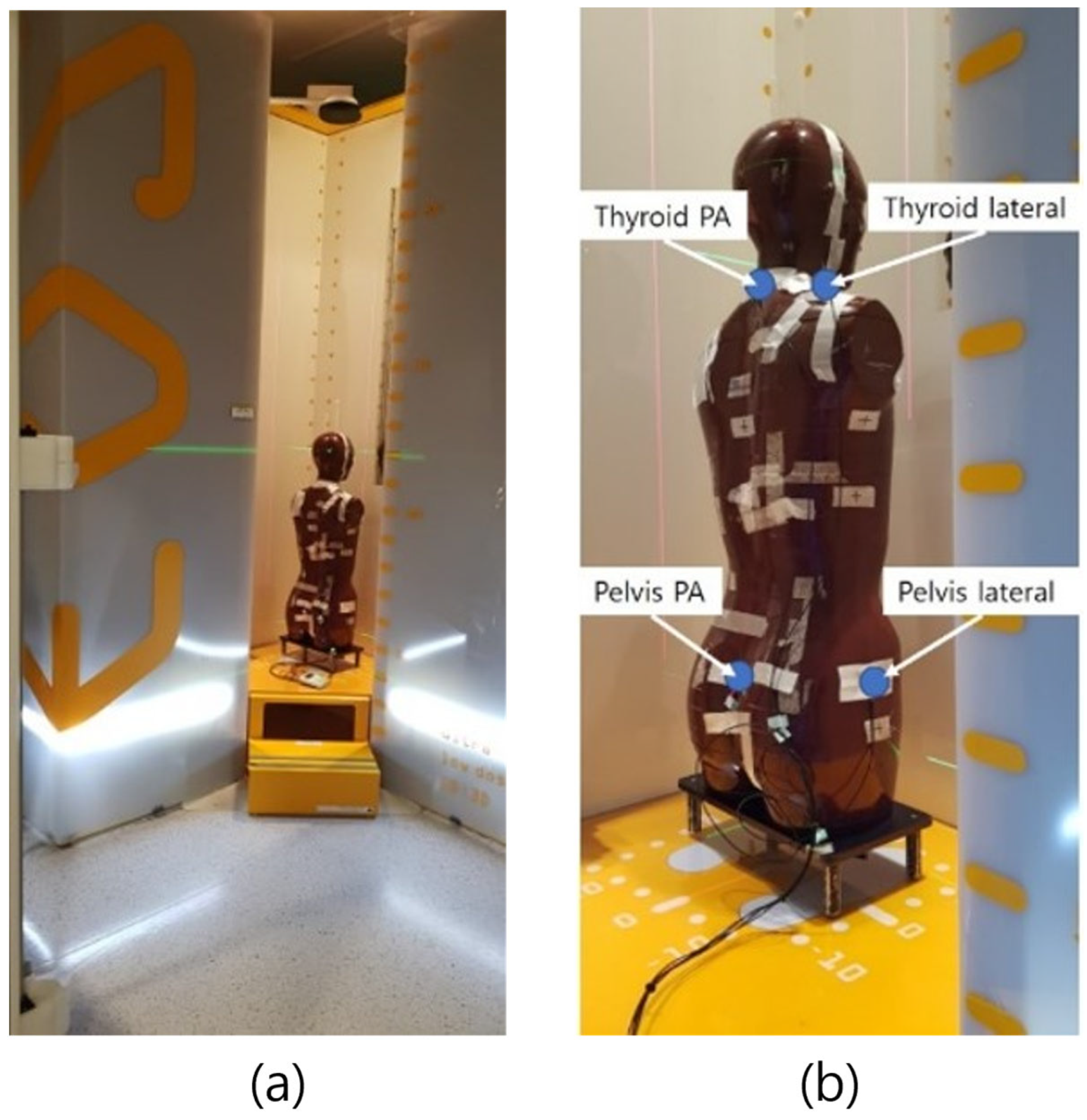 Bioengineering 11 00863 g002
