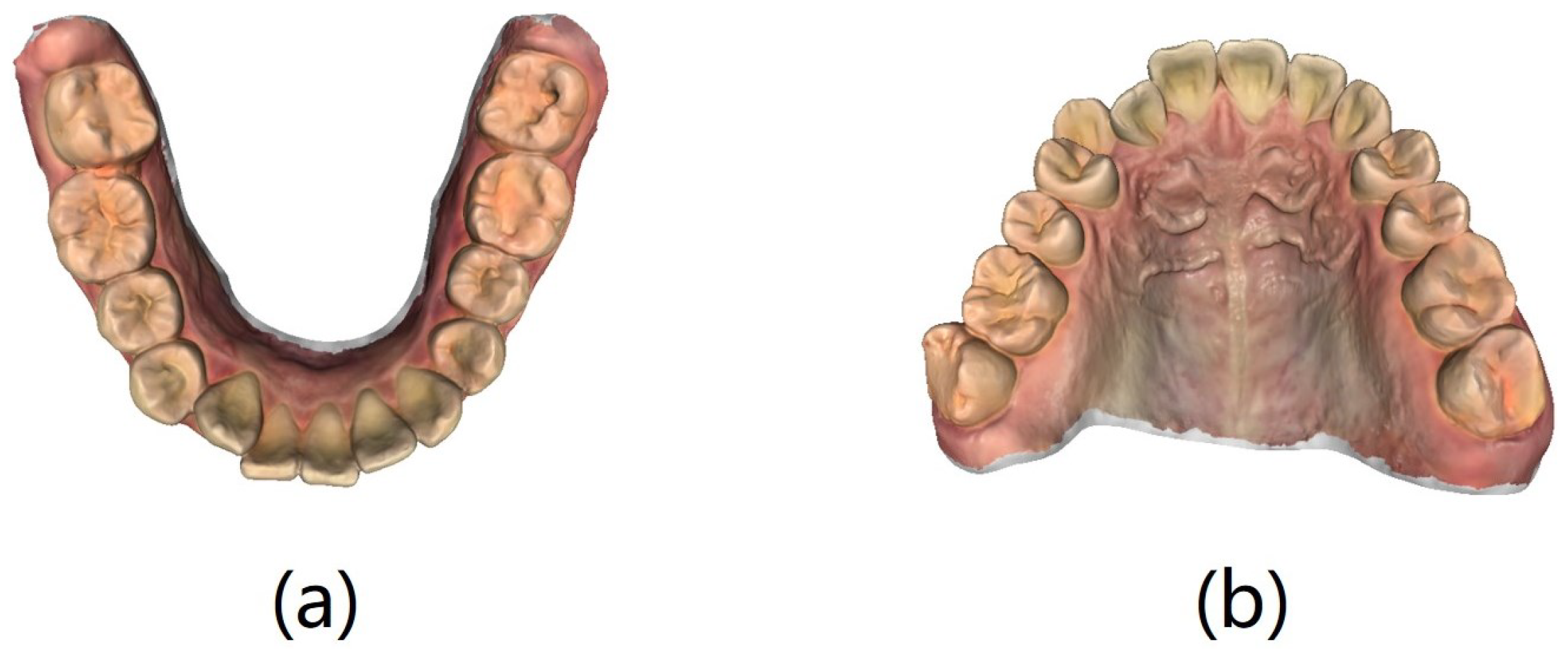 Bioengineering 11 00873 g001