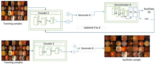 Bioengineering 11 00887 g002