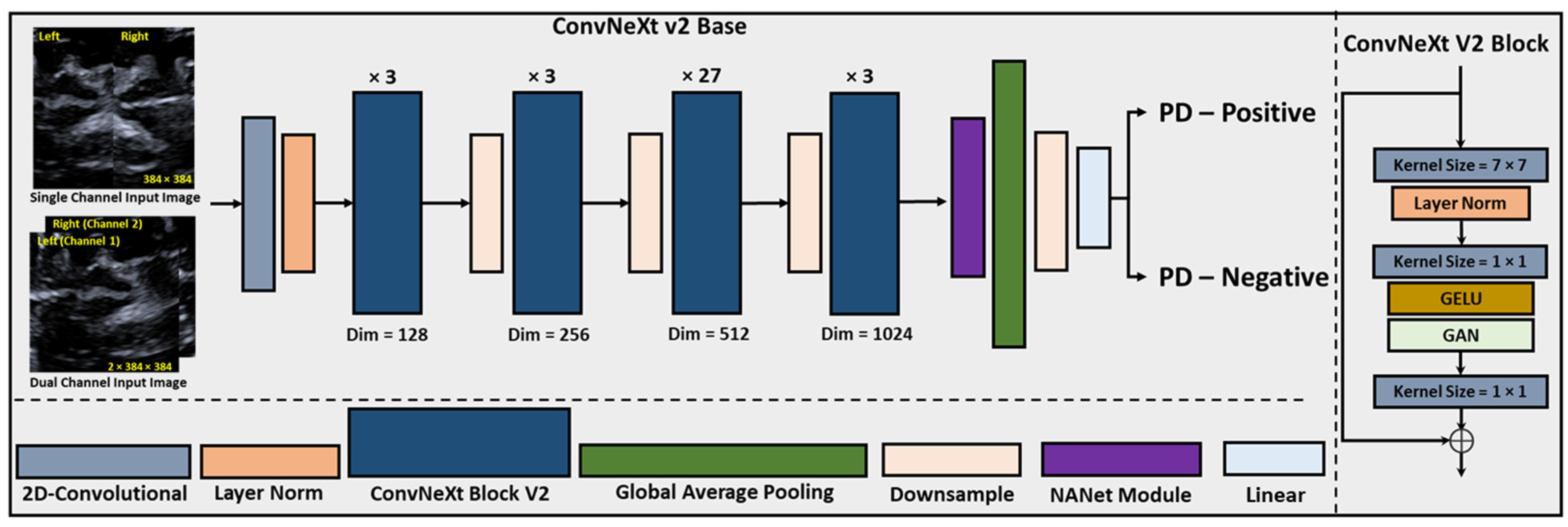 Bioengineering 11 00889 g003