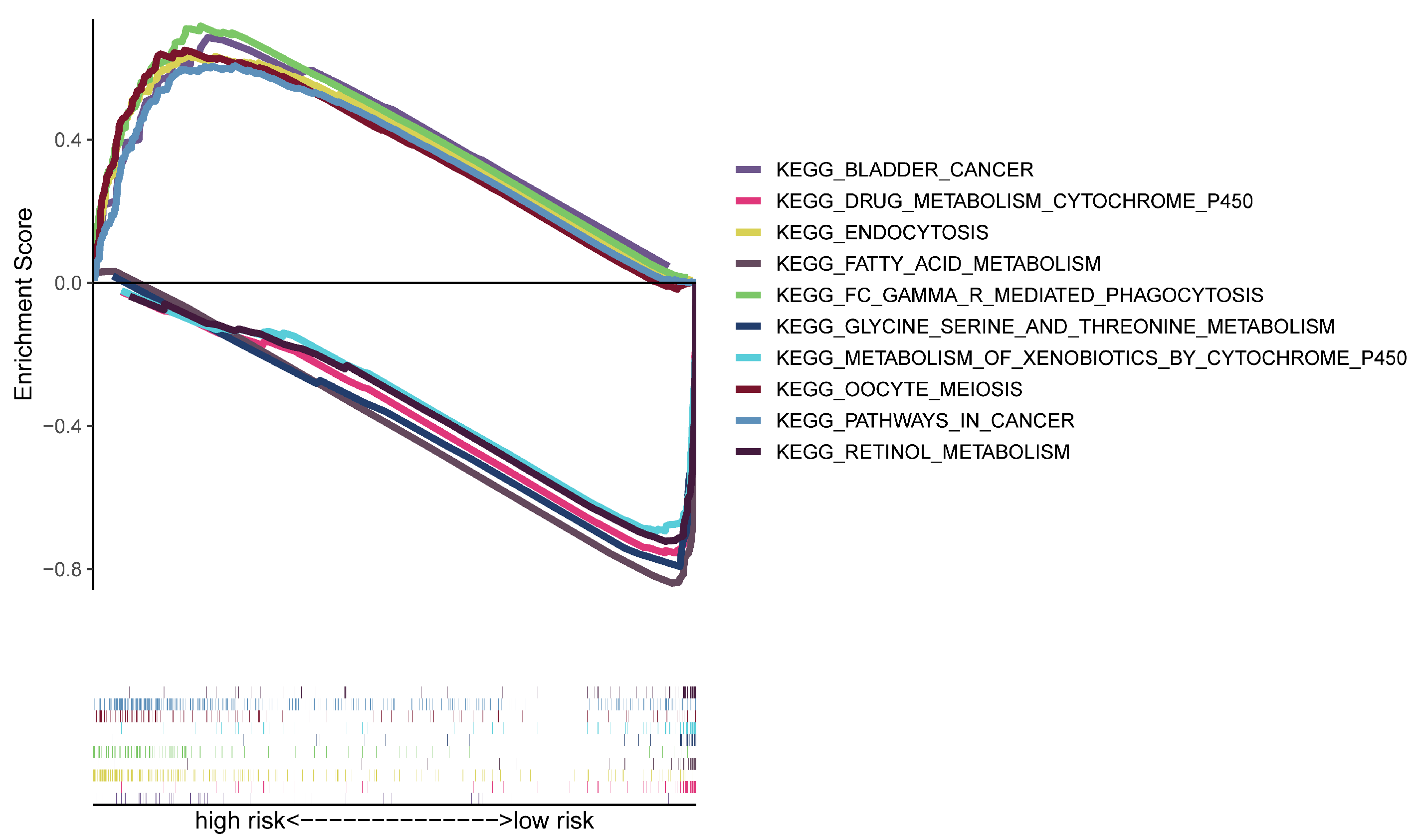 Bioengineering 11 00893 g006