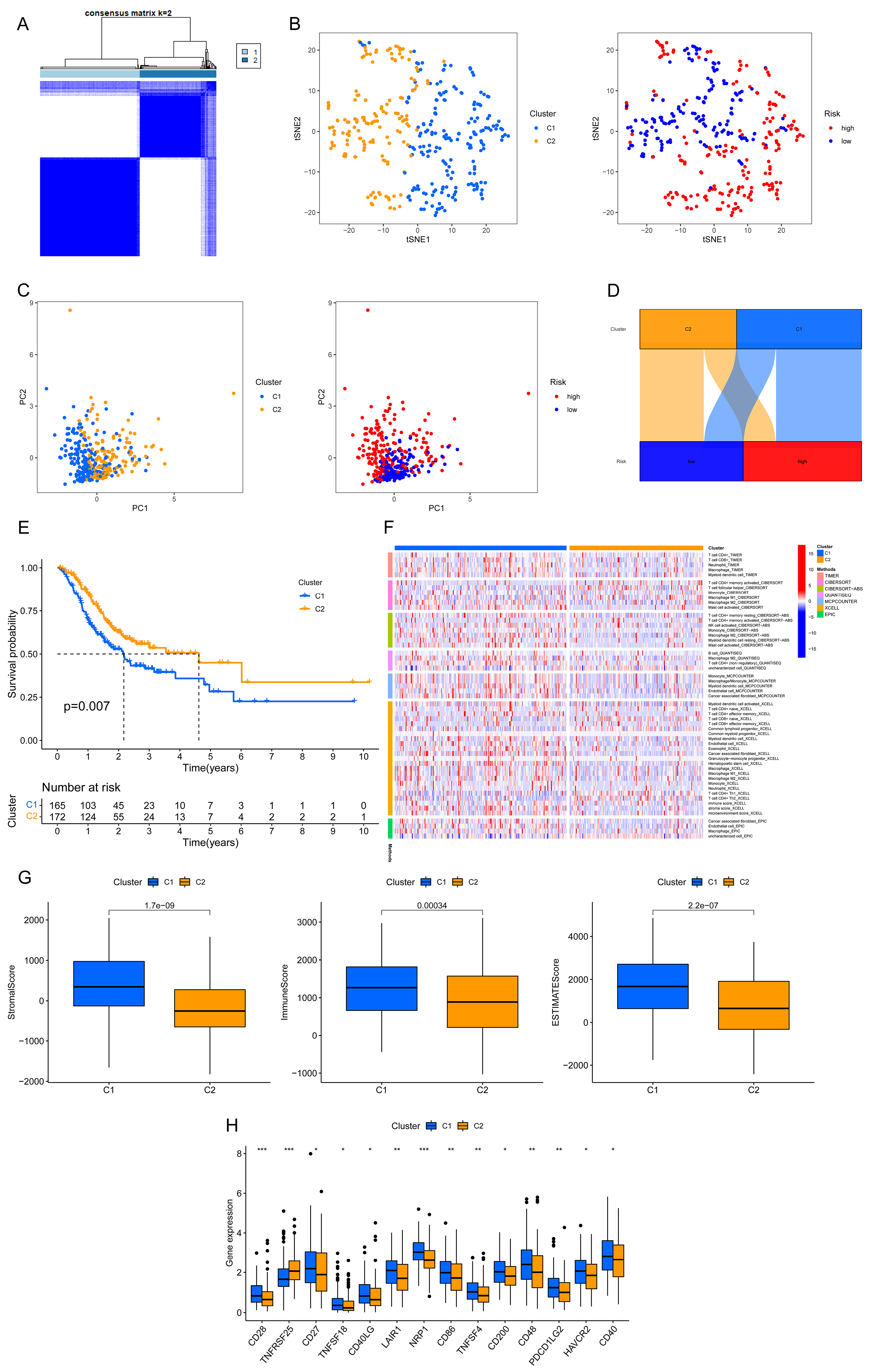 Bioengineering 11 00893 g008
