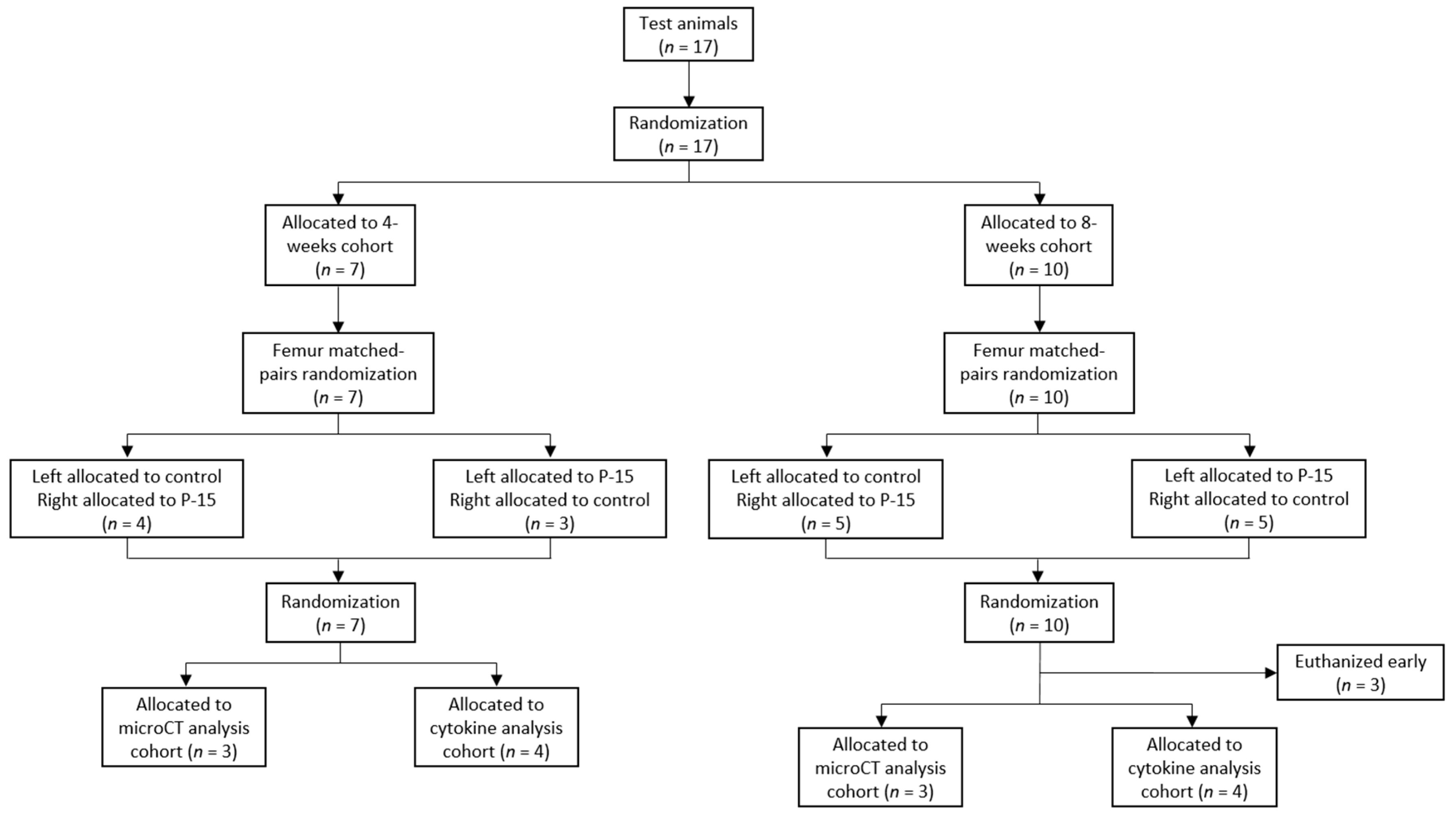Bioengineering 11 00898 g002
