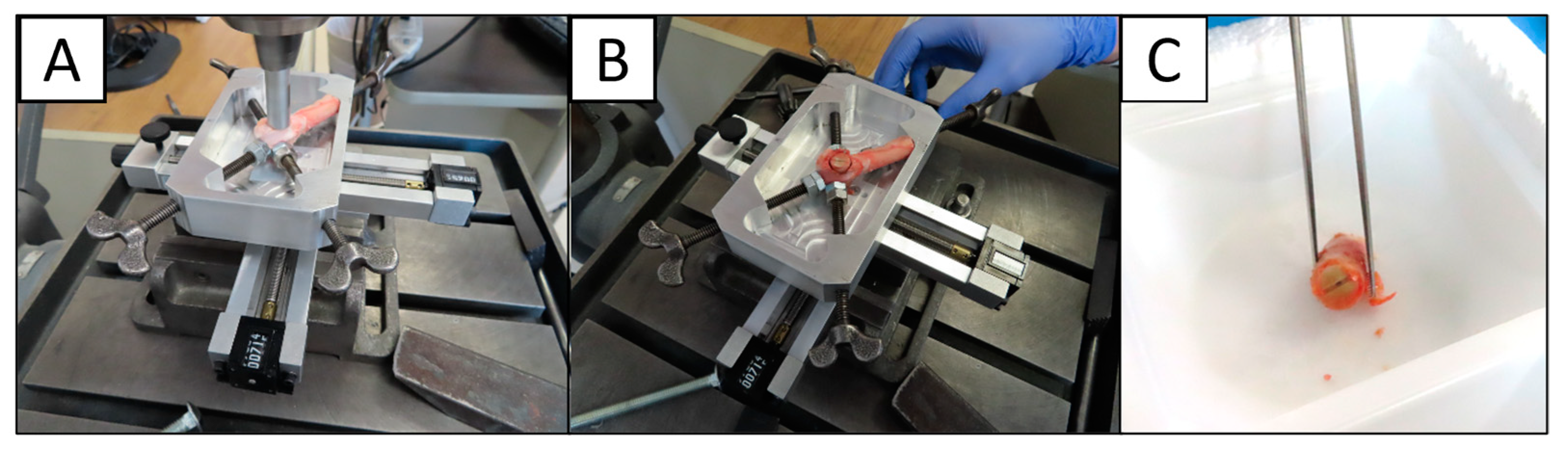 Bioengineering 11 00898 g004