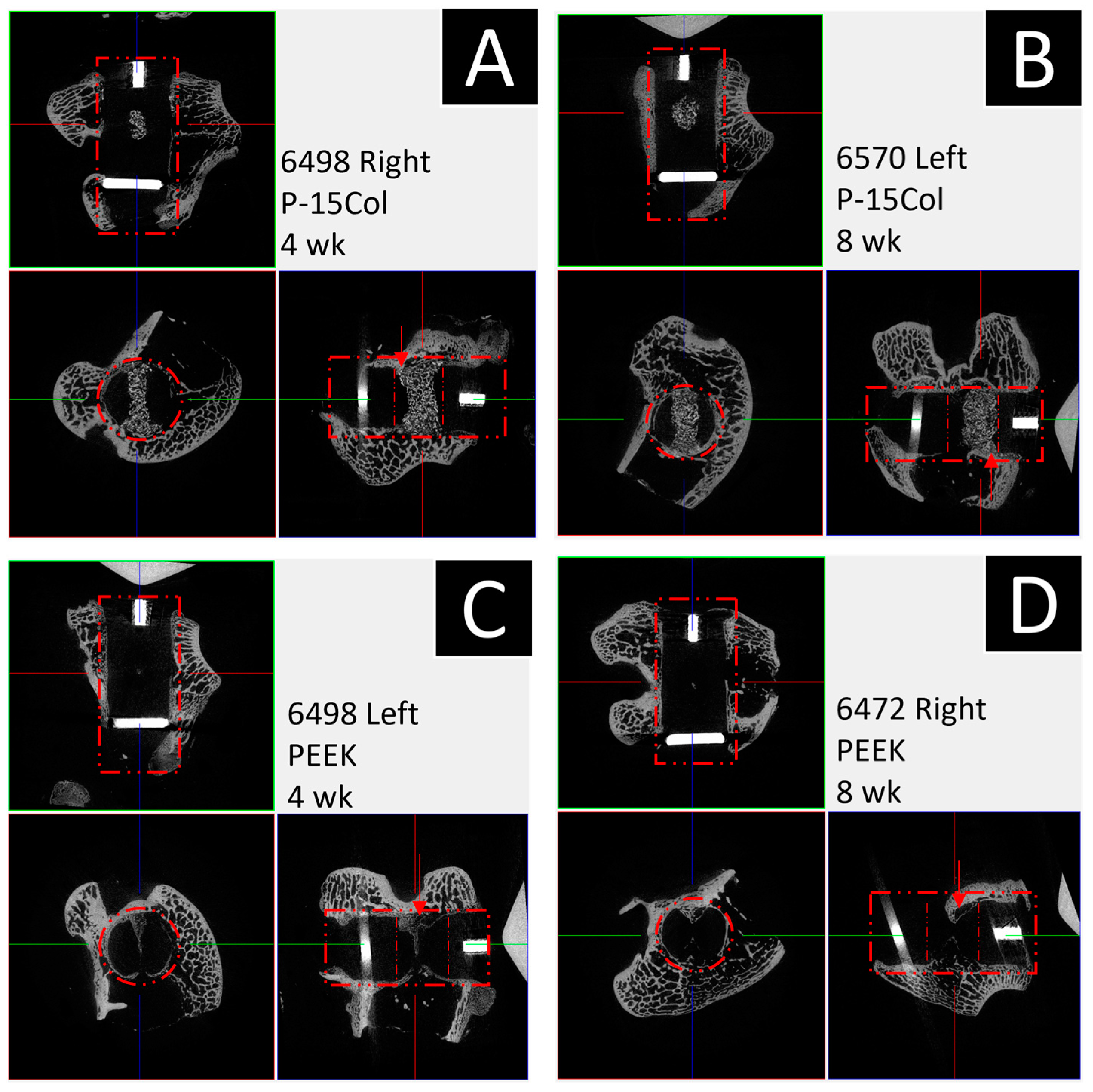 Bioengineering 11 00898 g005