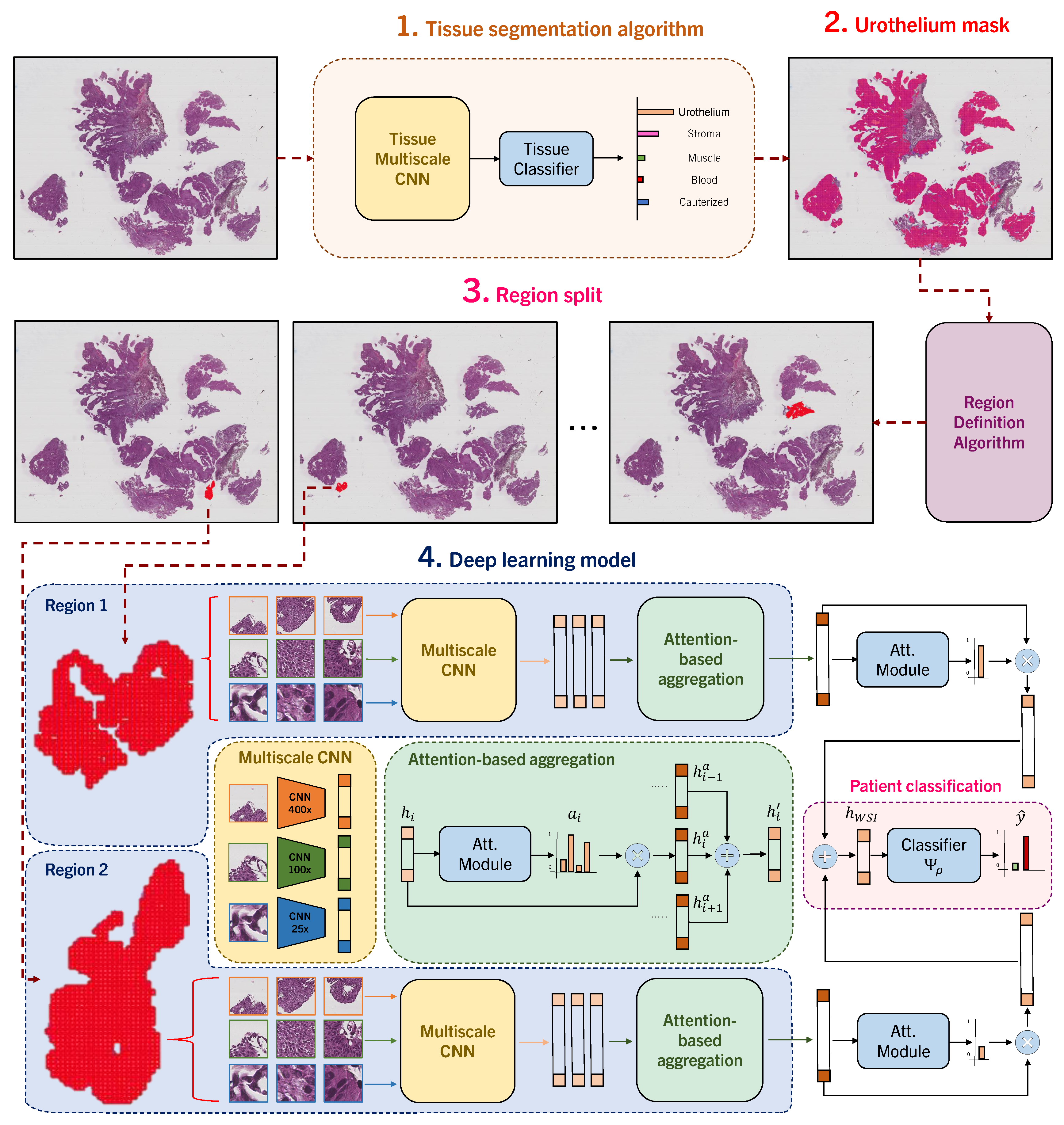 Bioengineering 11 00909 g001